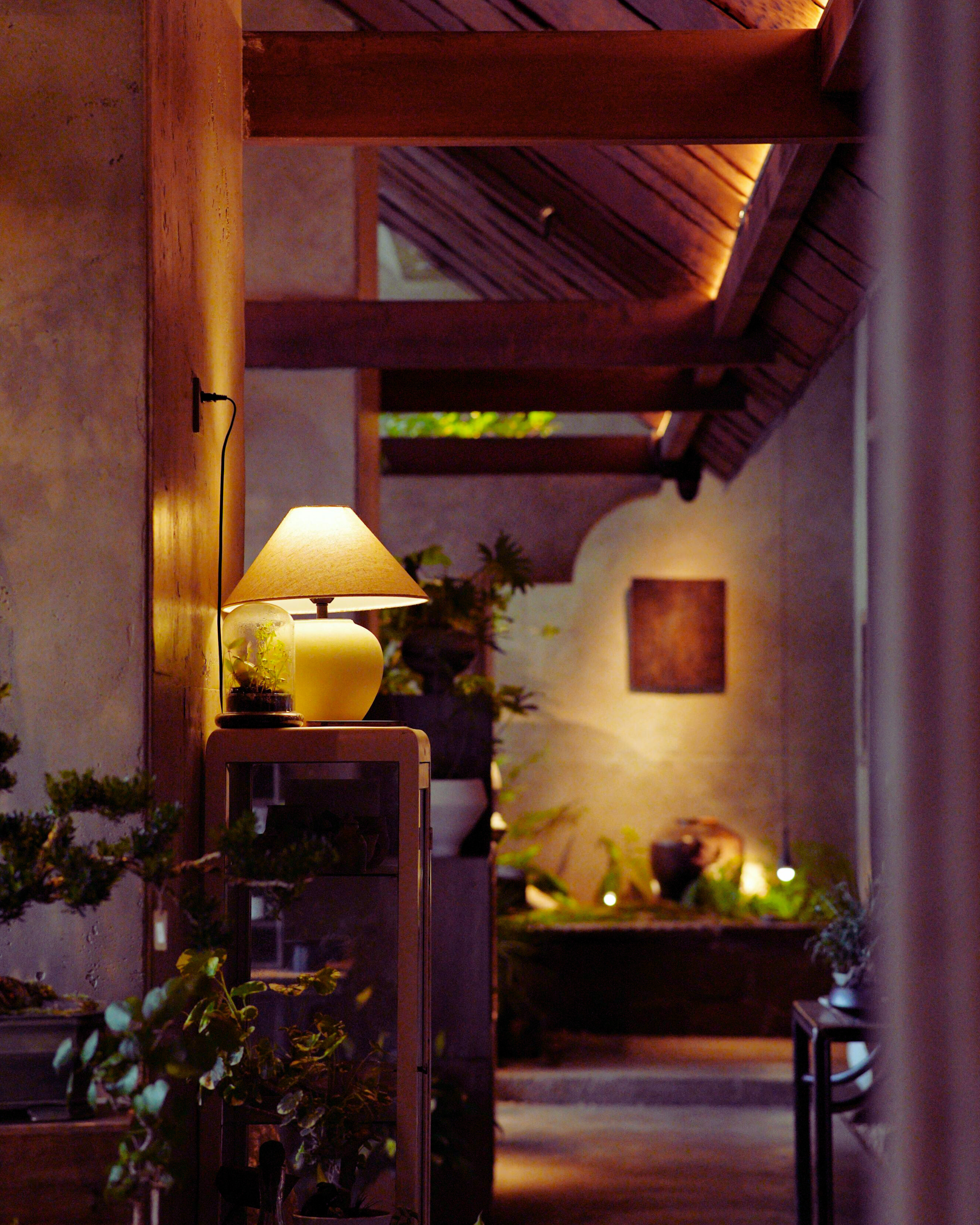 A cozy indoor space with warm lighting, featuring a table lamp, indoor plants, and textured walls.
