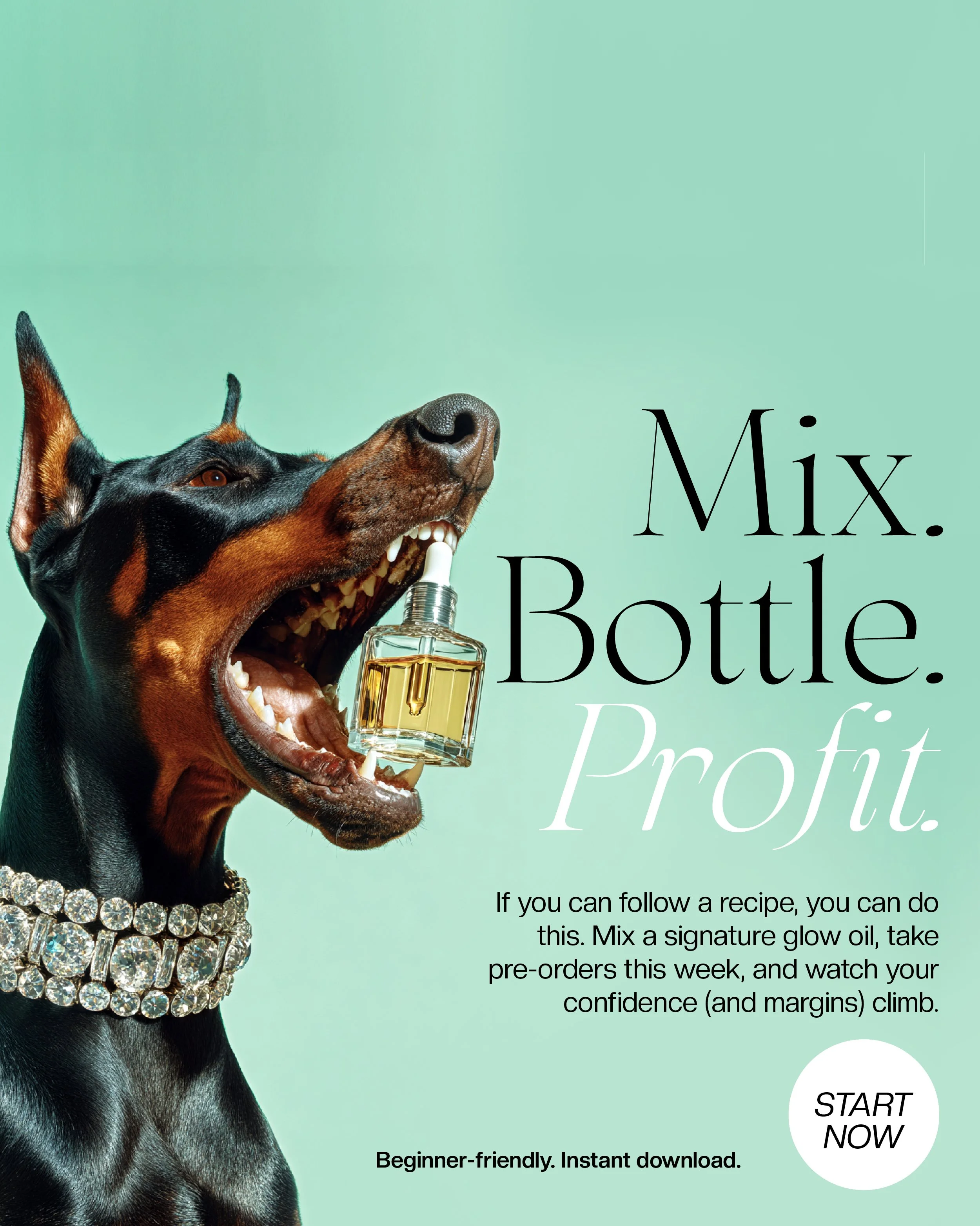 DW 05 Flyer - 20250916 Face Oil Fortune Ebook Ads-02.jpg