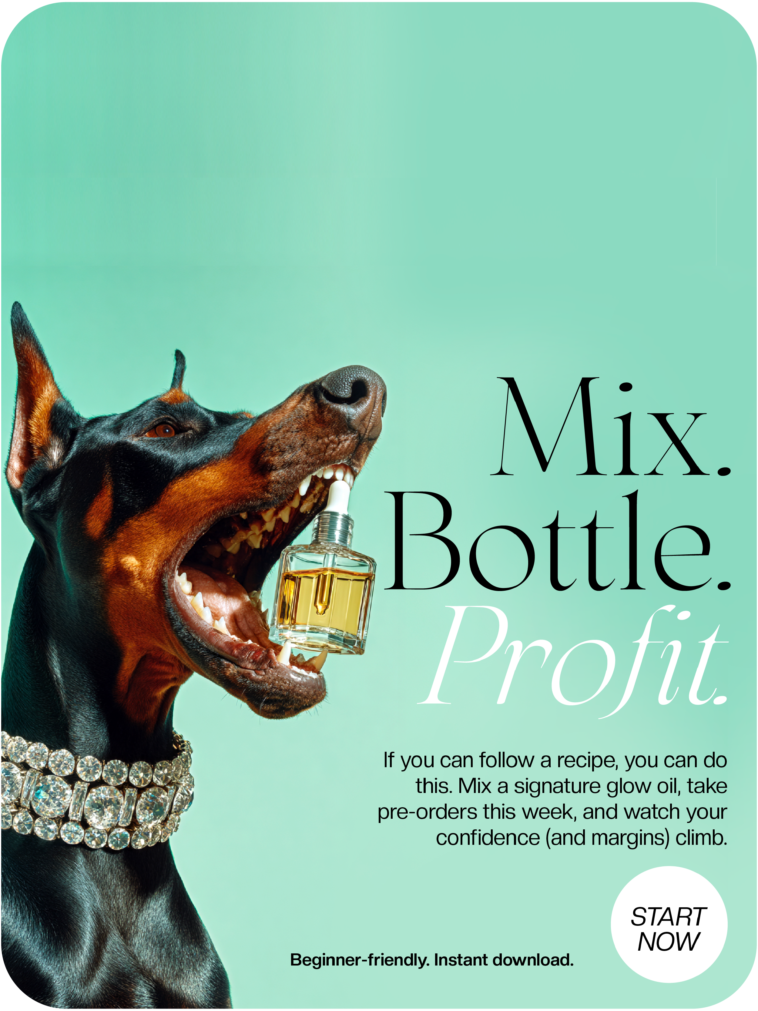 DAM 02 Website - 20260108 Rounded Corner Portfolio Pieces-18.png