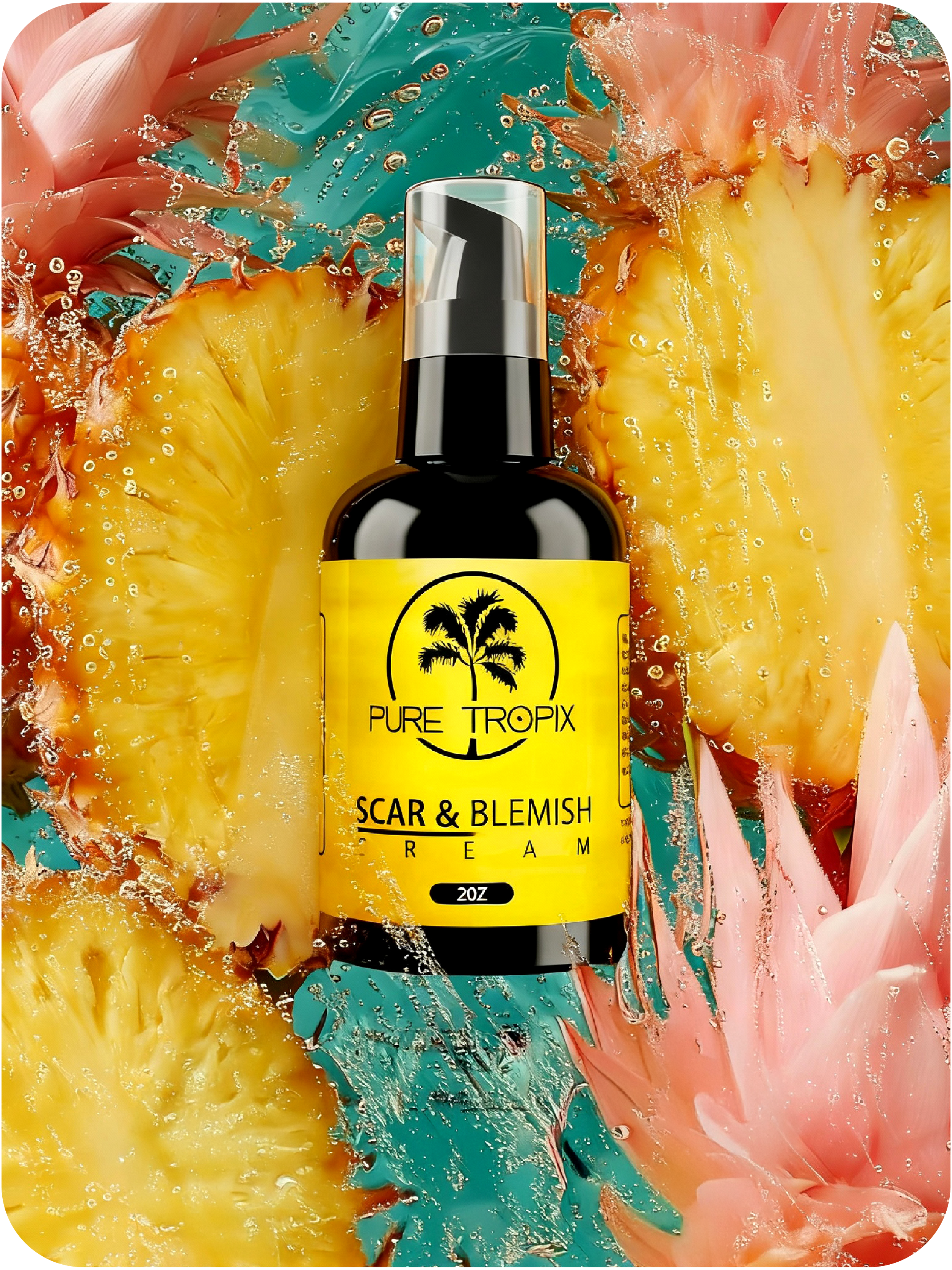 DAM 02 Website - 20260108 Rounded Corner Portfolio Pieces-25.png