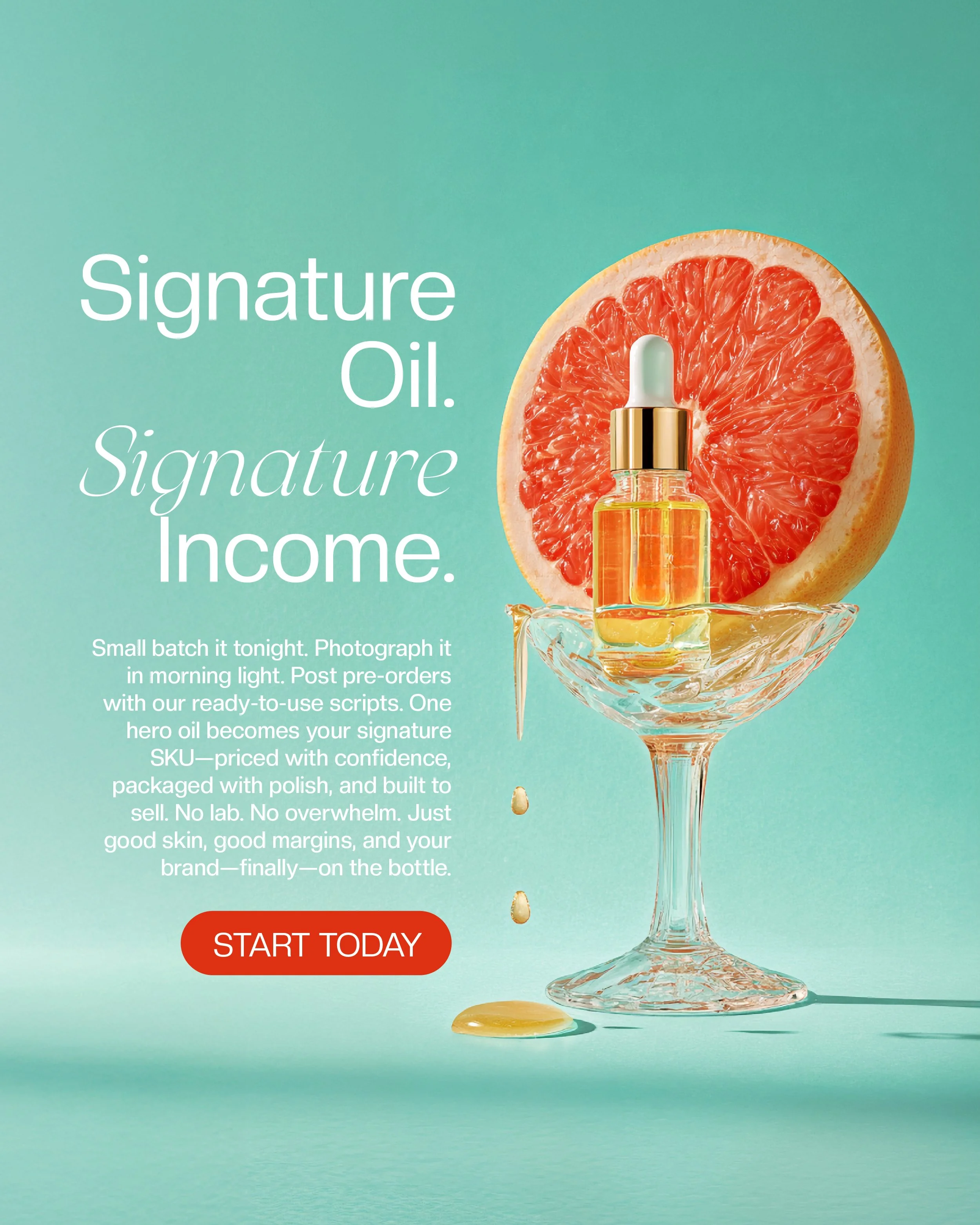 DW 05 Flyer - 20250916 Face Oil Fortune Ebook Ads 2-14.jpg