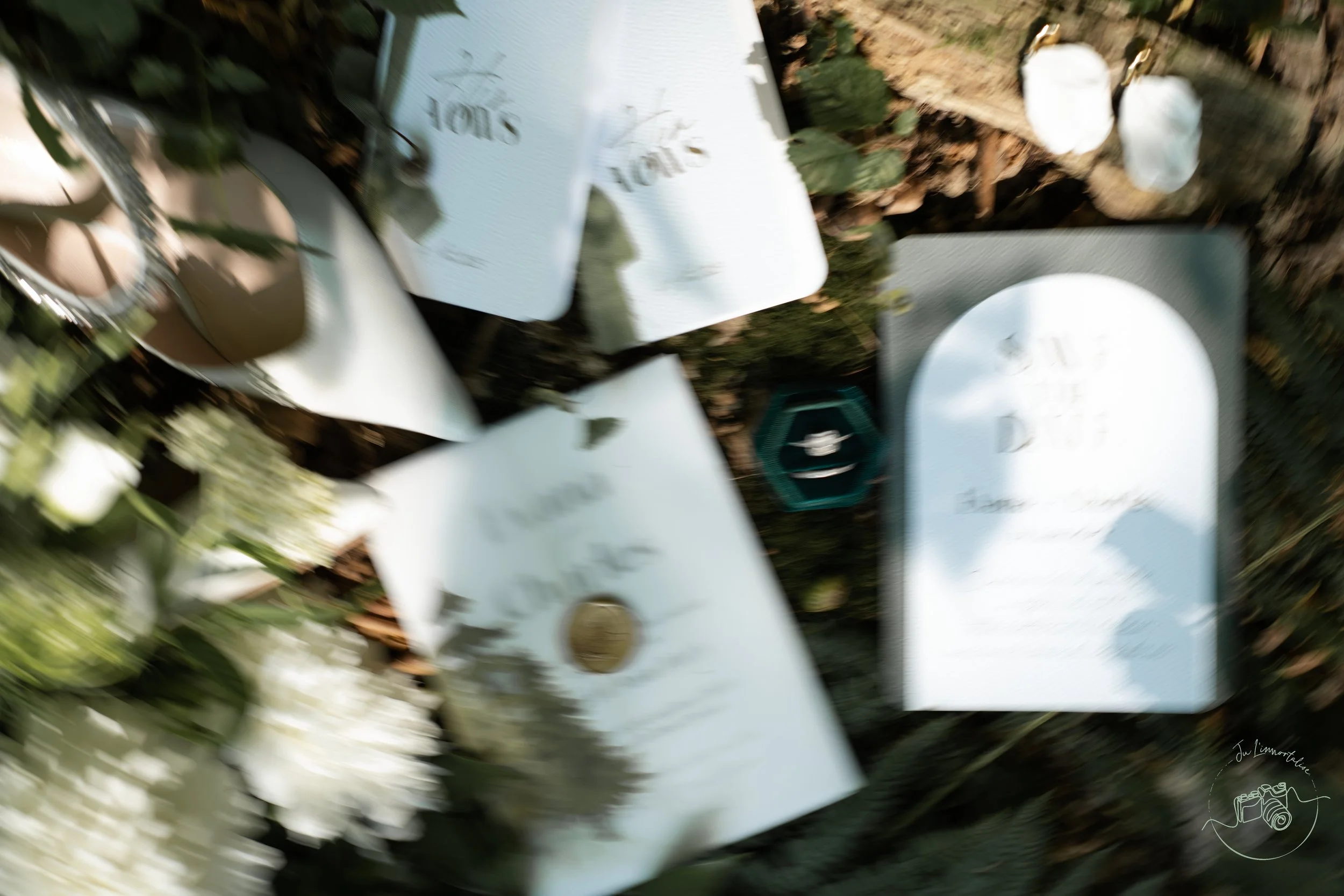 L'image montre des plaques de signalisation et une médaille sur le sol, avec des feuilles et de la terre, mais elle est floue et difficile à discerner précisément.