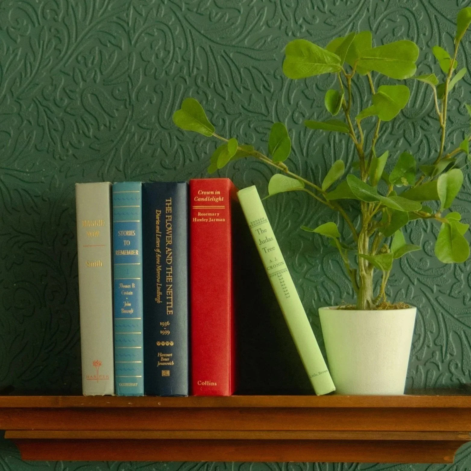 A wooden shelf with five books and a potted plant against an embossed green wall. The books are in different colors: white, blue, dark blue, red, and light green. The plant has green leaves.