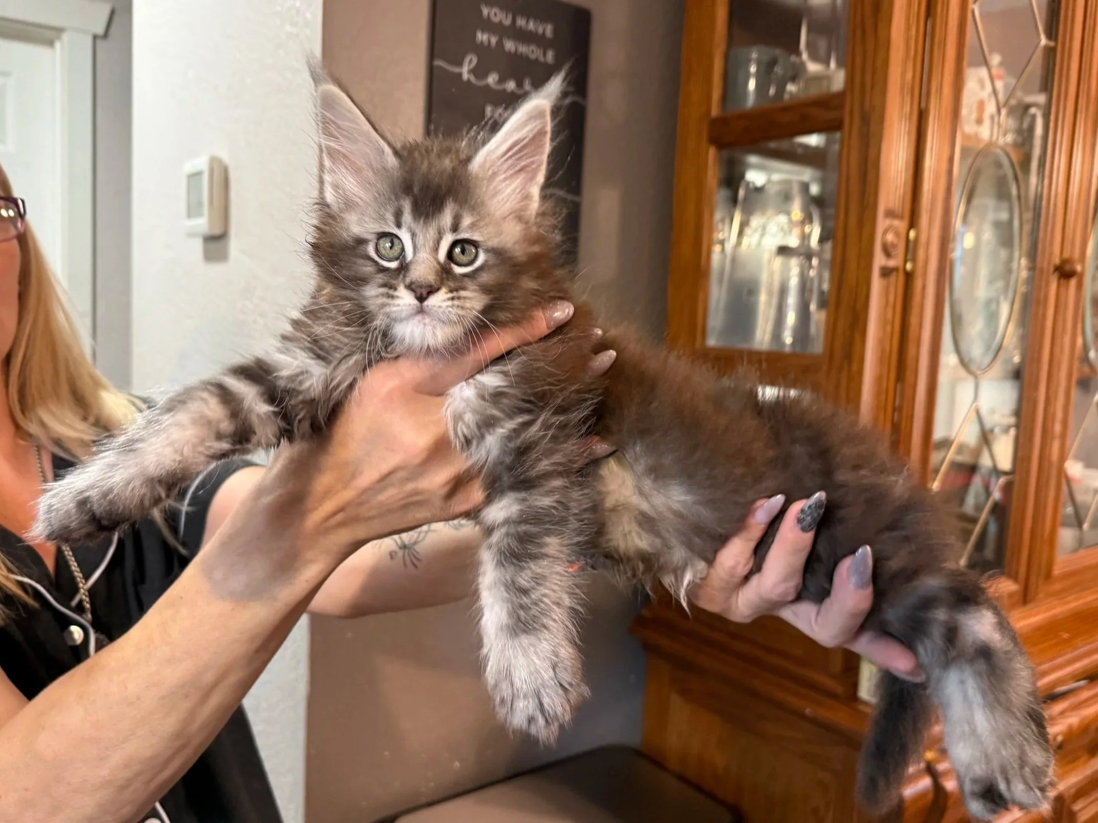 Robbie - Male - Blue Smoke - Available