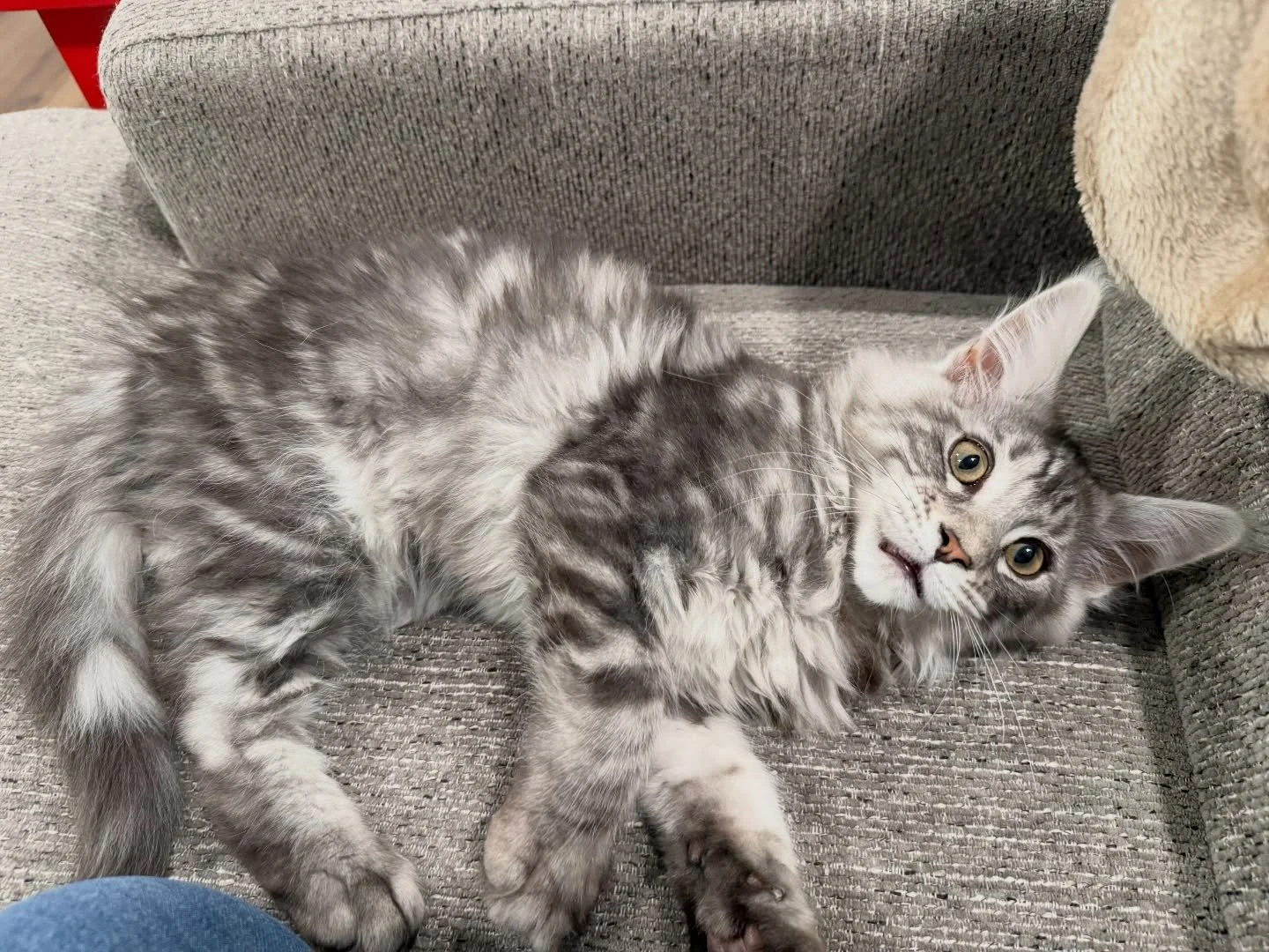 Being lazy on this rainy day 🌧️