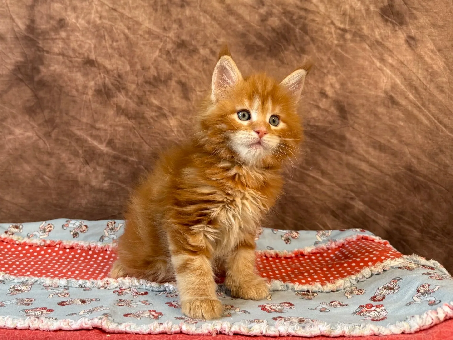Valkyrie - Male - Reserved