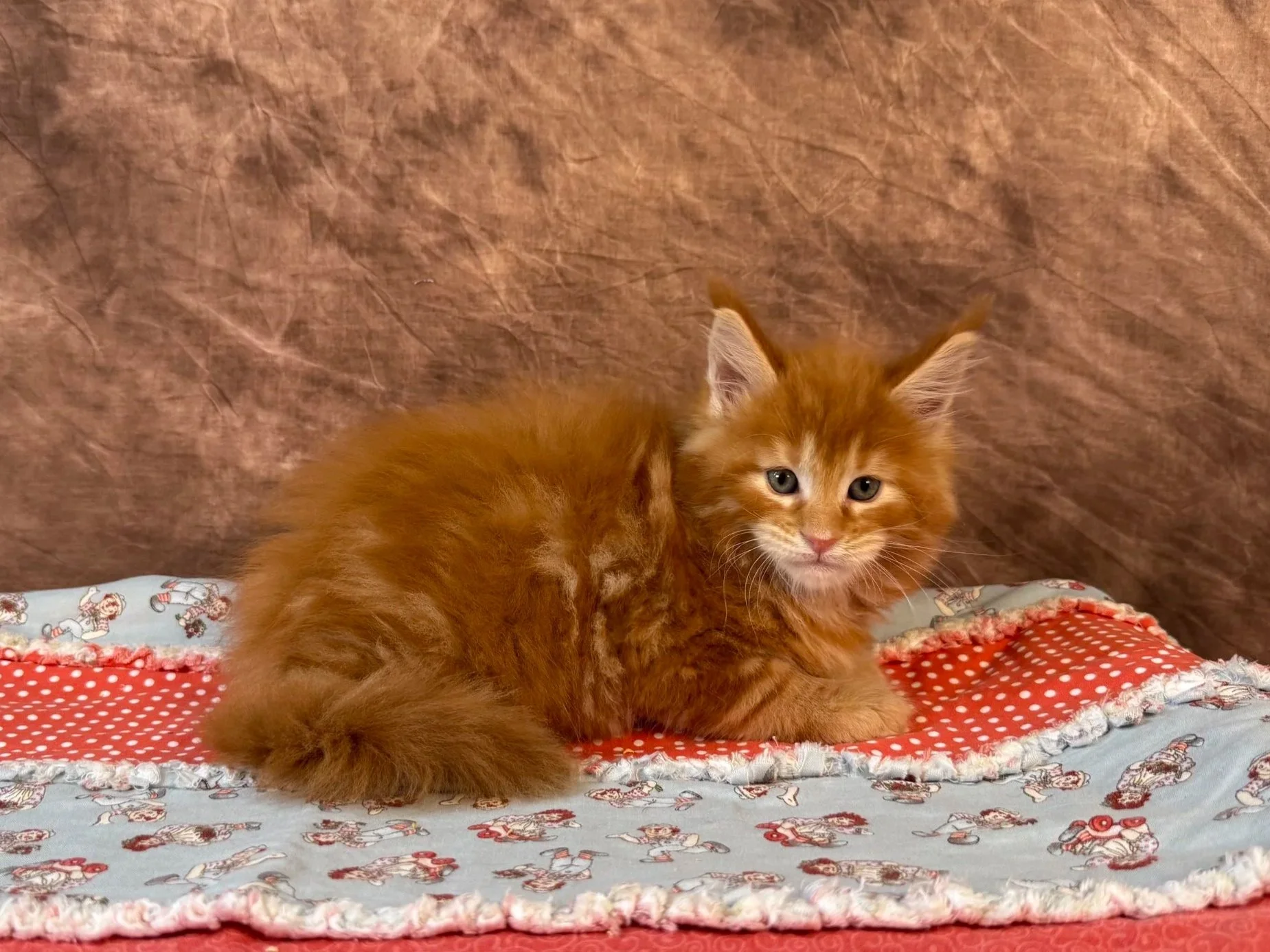 Viktor - Male - Reserved