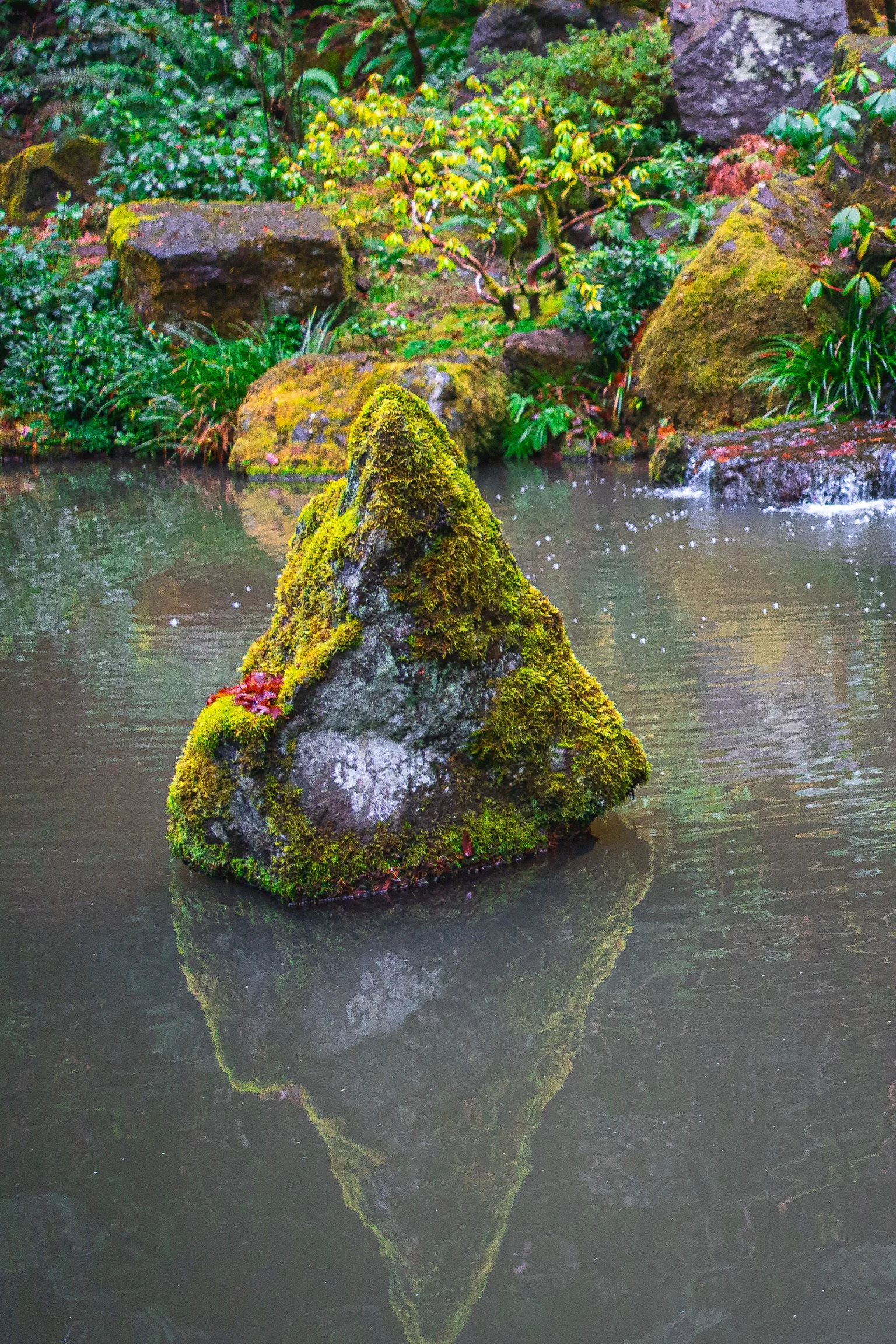 Tai Chi - Thursday Membership