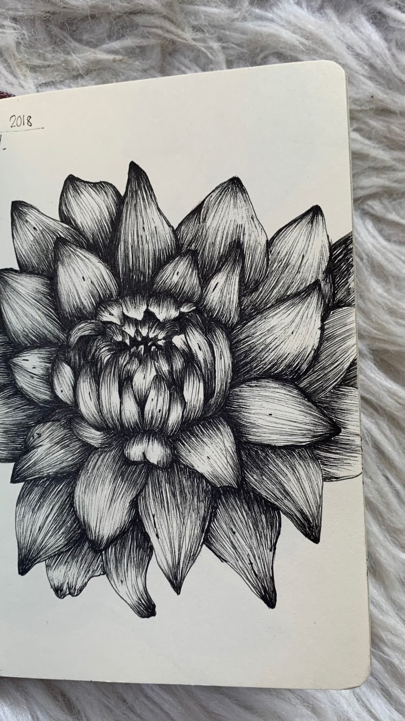 Schwarz-weiße Skizze einer großen Blume, wahrscheinlich eine Art Blüte mit vielen Blättern, detailliert ausgearbeitet mit feinen Linien.