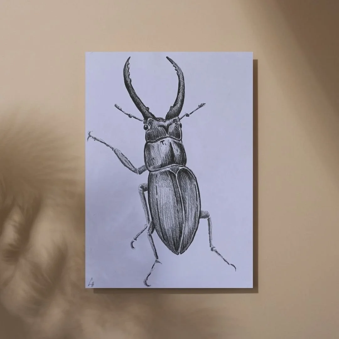 KÄFER 1 2021