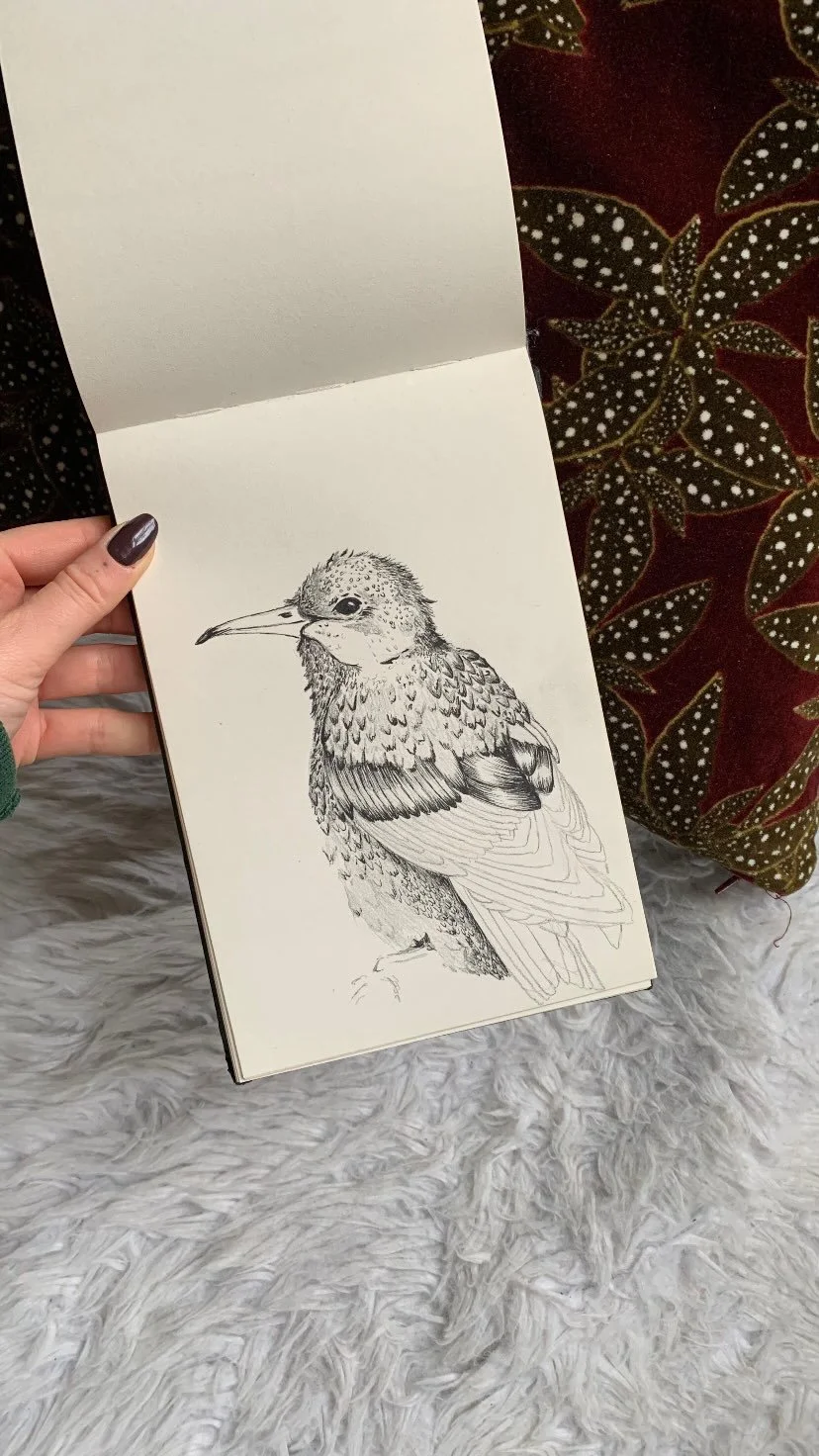 Skizze eines Vogel mit spitzer Schnabel und gefiedertem Körper, auf weißem Hintergrund, gehalten von einer Hand.