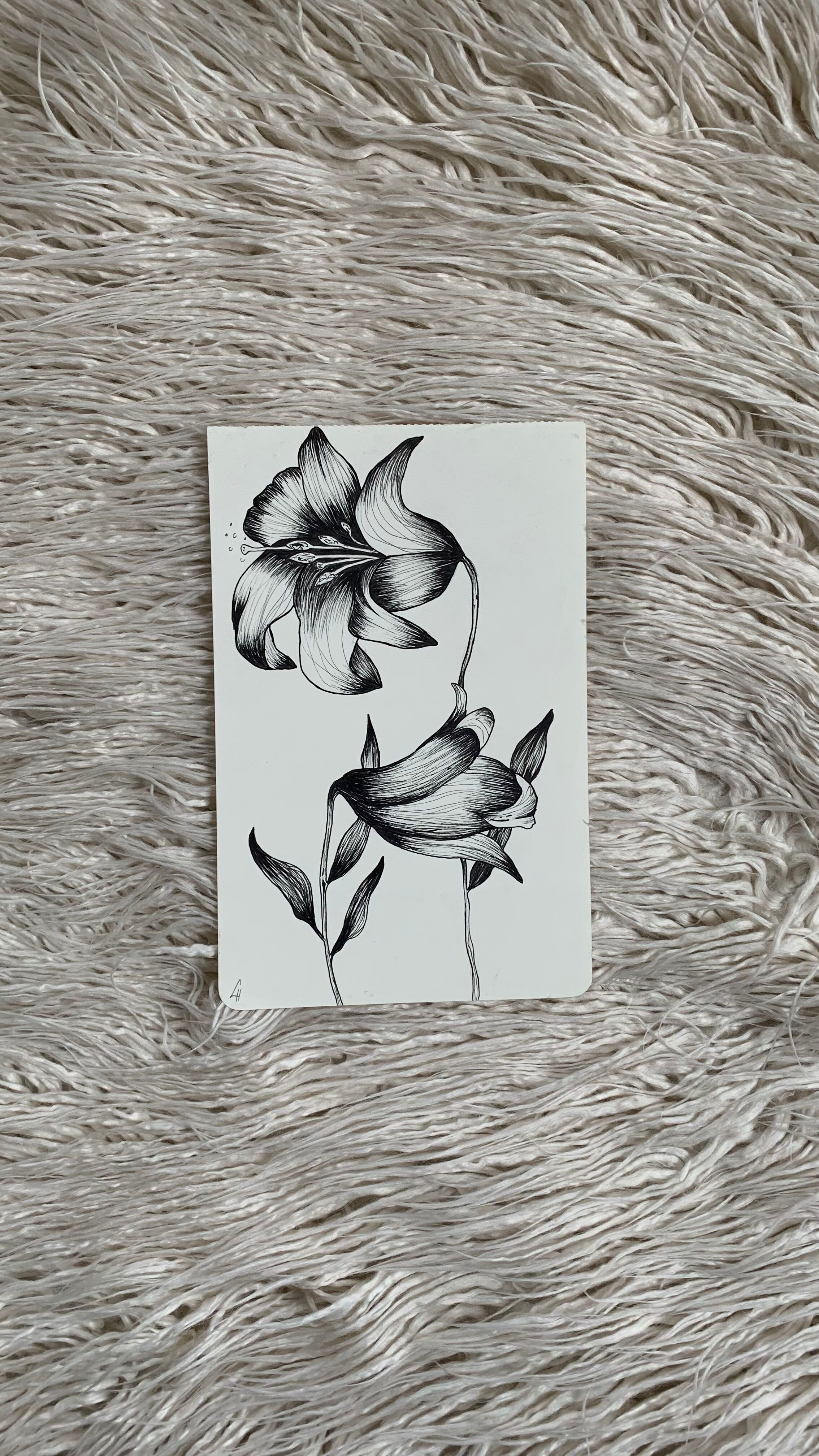 Schwarz-weiß Illustration von zwei Lilien auf einem weißen Kartenstück, liegt auf einem flauschigen, hellen Teppich.
