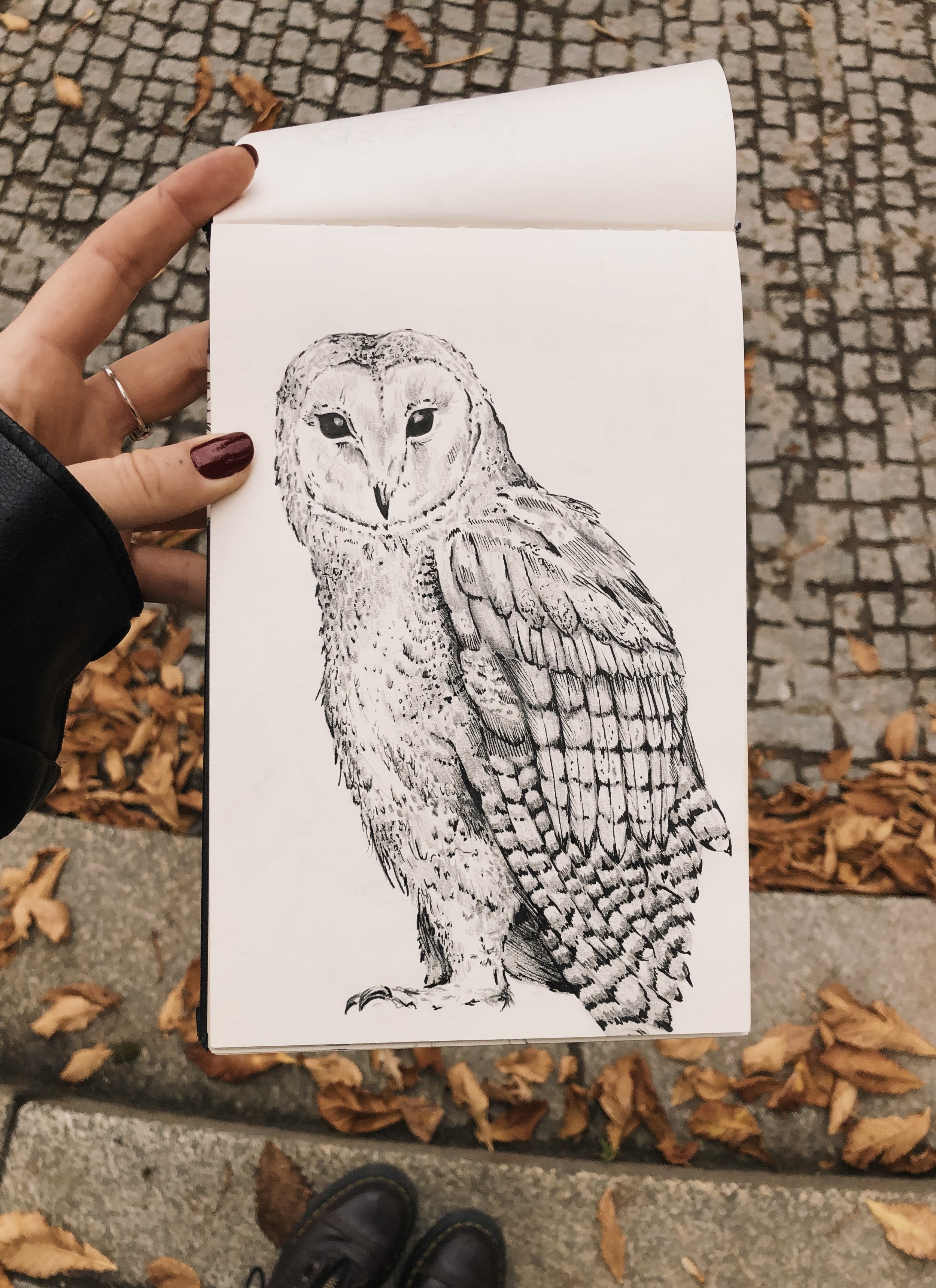 Skizze einer Eule auf einem weißen Blatt Papier, gehalten von einer Person mit dunkler Jacke, im Freien mit herabfallenden Blättern auf dem Boden.