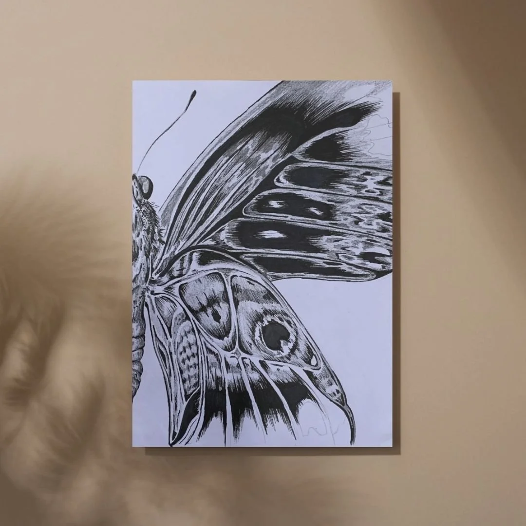 SCHMETTERLING 2022