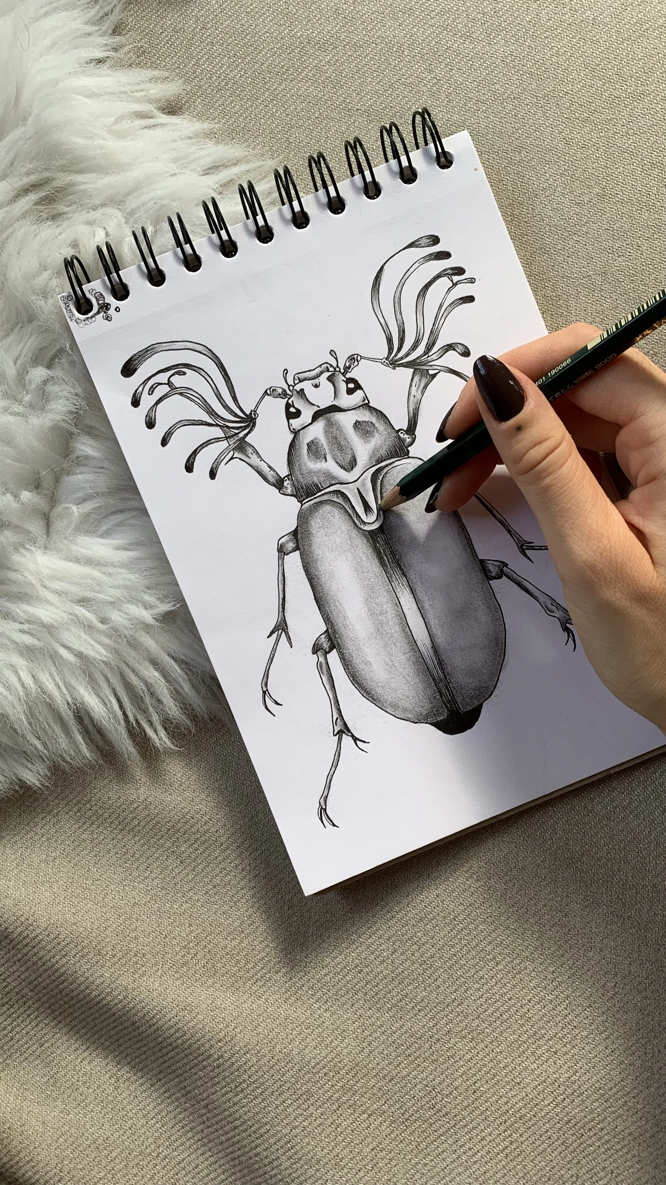 Skizze einer detailreichen, schwarze und weiße Illustration eines Käfers auf einem Notizblock, während eine Hand mit schwarzer Nagellackfarbe zeichnet.