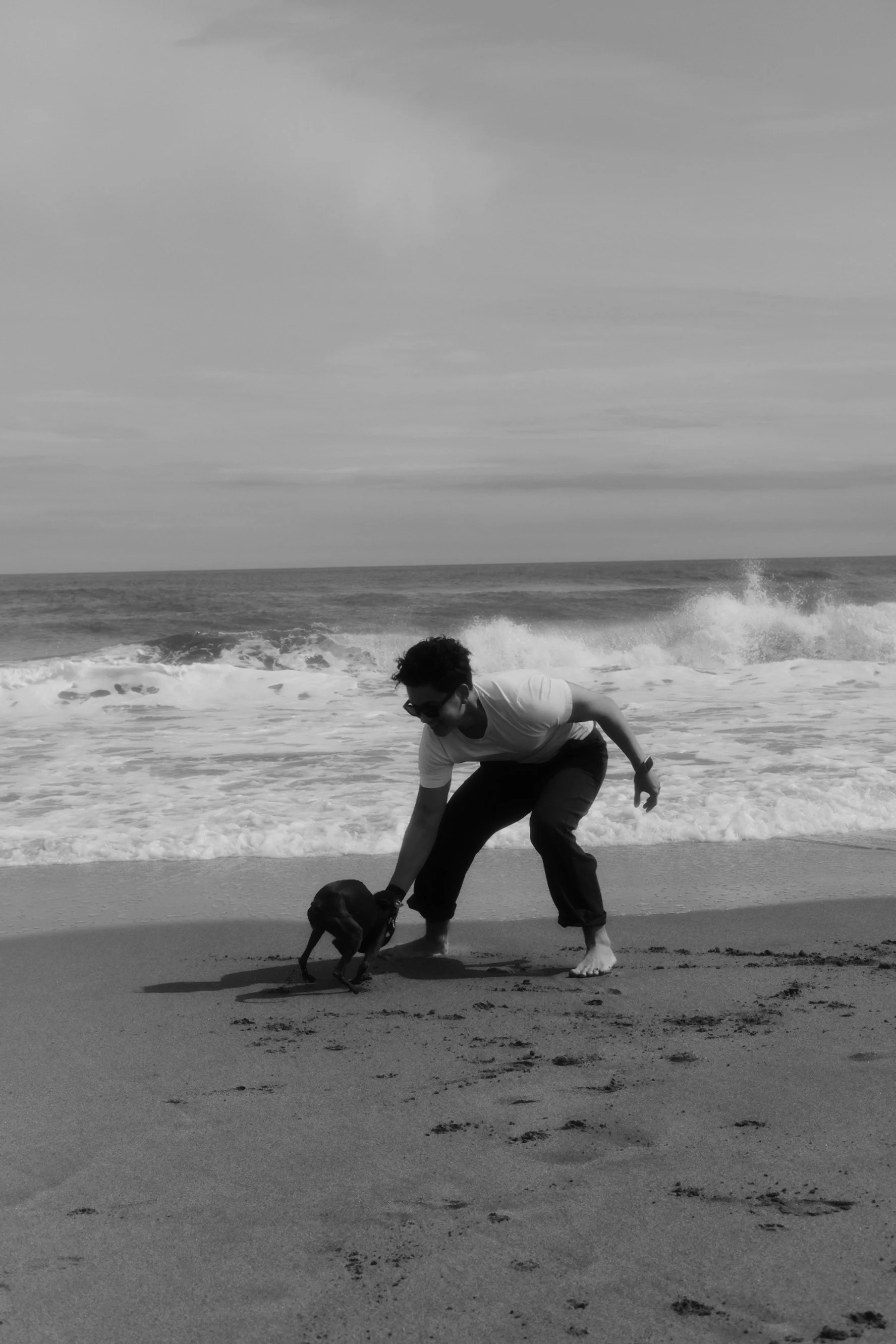 Ein Mann spielt an einem Strand mit einem kleinen Hund, im Hintergrund sind die Wellen im Meer zu sehen.