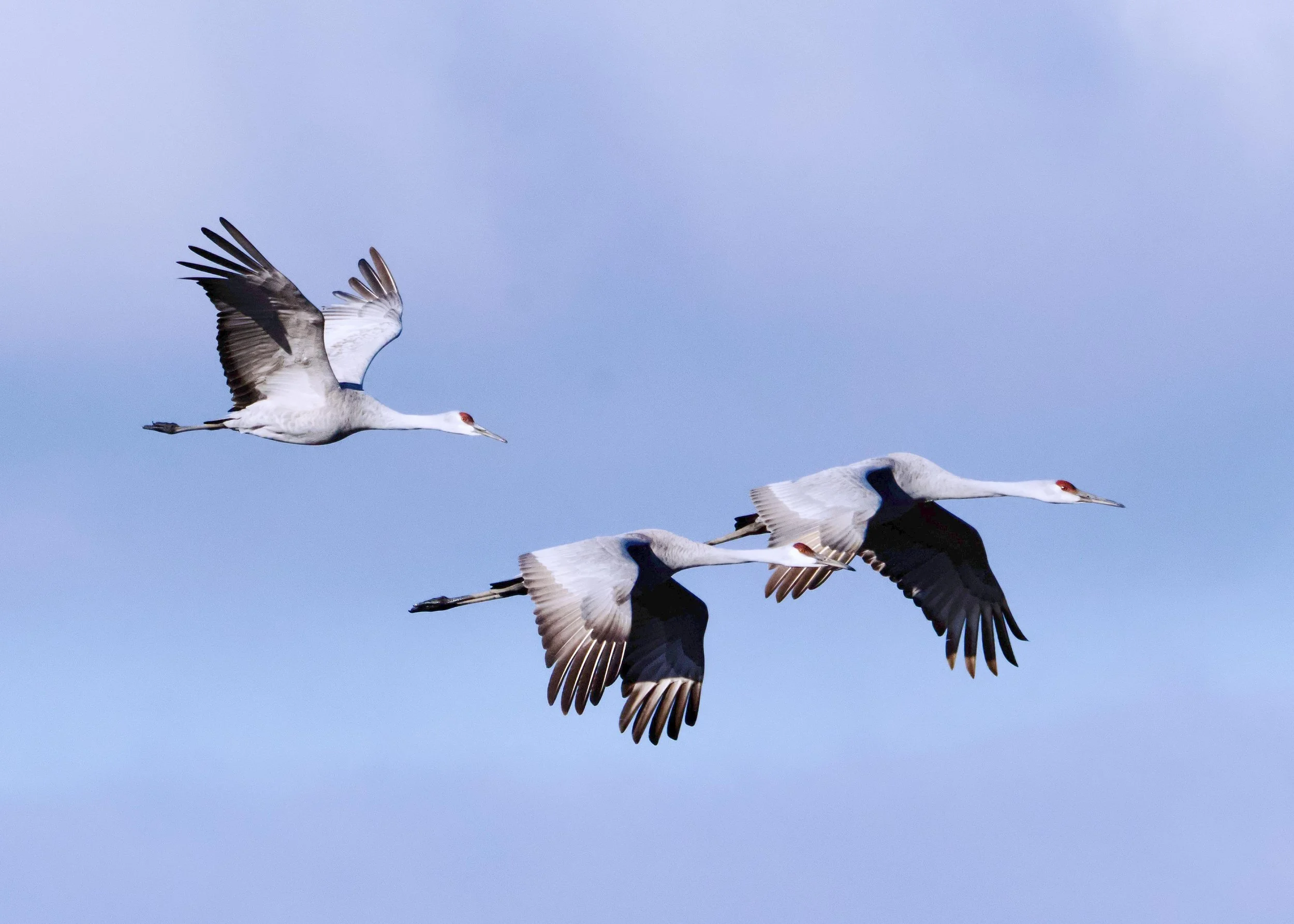 Reflecting on 25 Years of IT Relationships