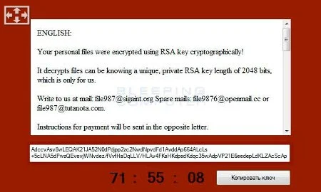 an example of a scam email