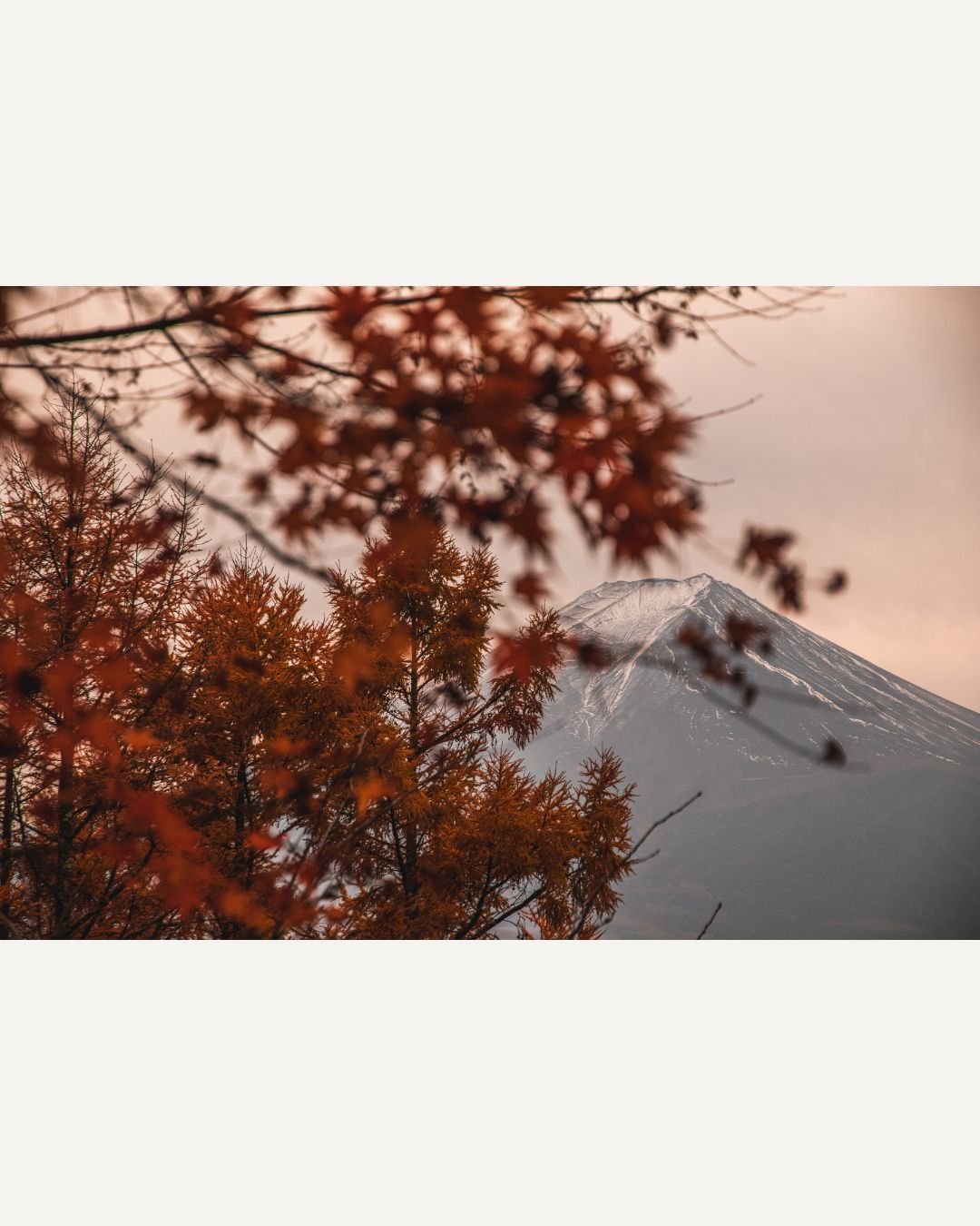 Familiar, but never quite ordinary. Little Mount Fuji.