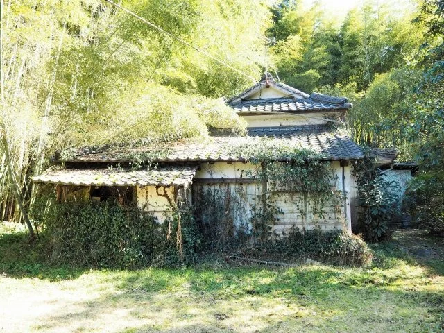 Abandoned wooden house surrounded by overgrown vegetation in rural Japan