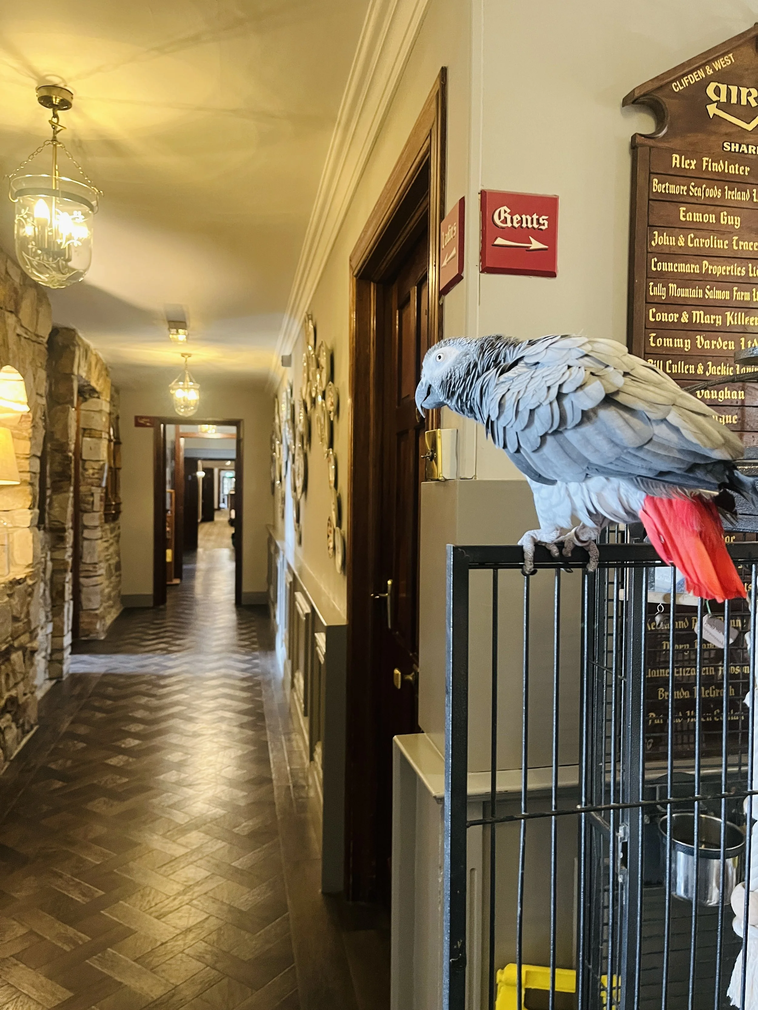 Back to Abbeyglen: A Meeting with Ireland’s Past