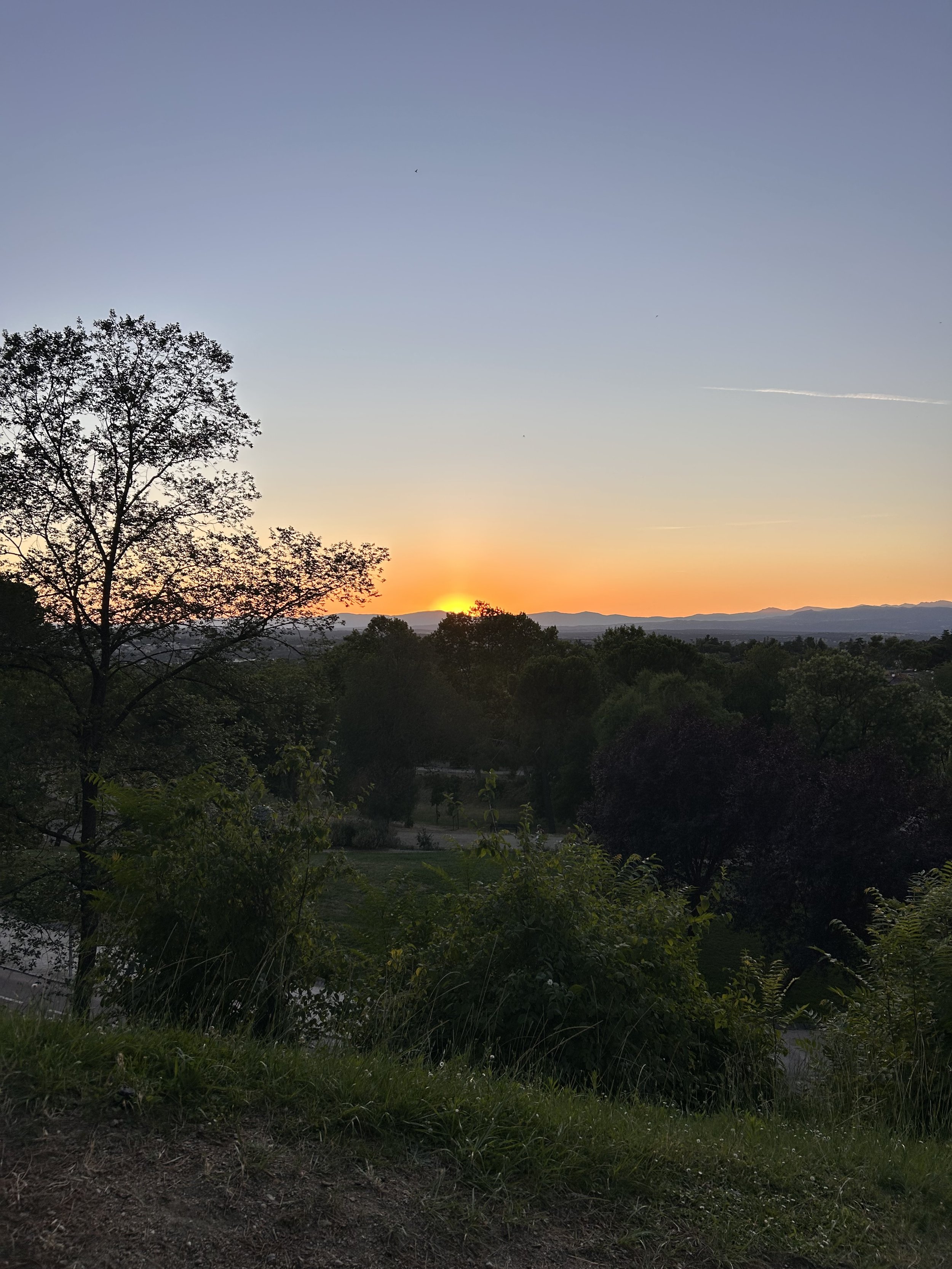 Starting Over in Madrid