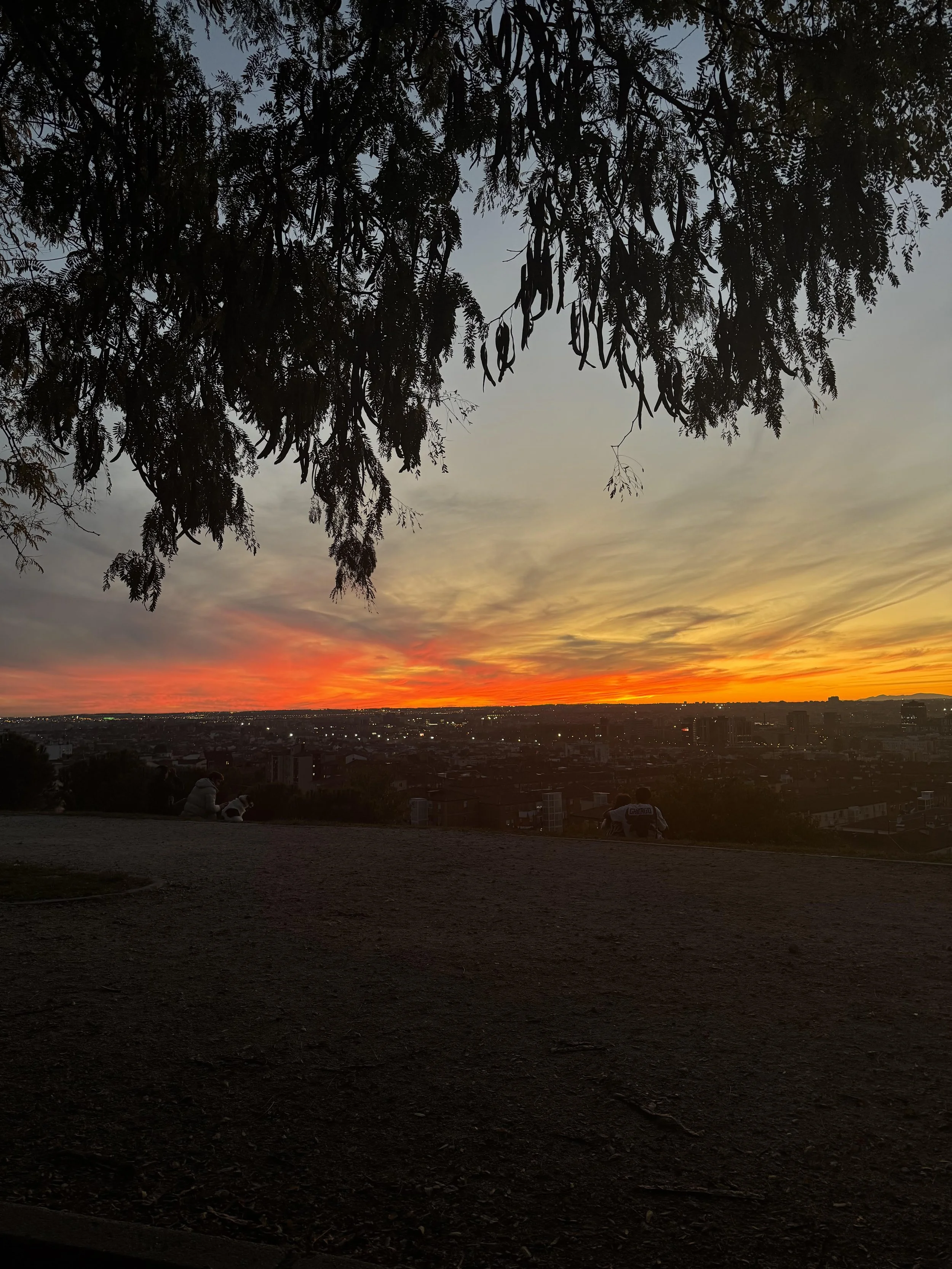 A City That Unravels You, Then Remakes You