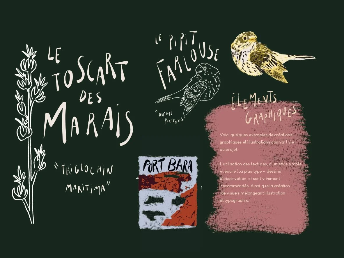 charte graphique-20_page-0001.jpg