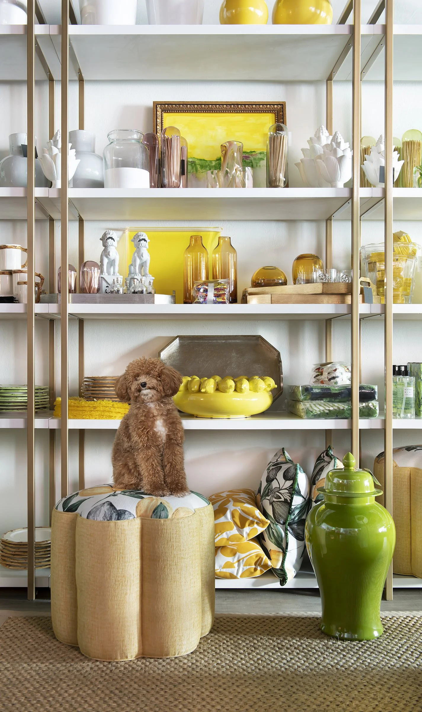 Modern Luxury Interiors