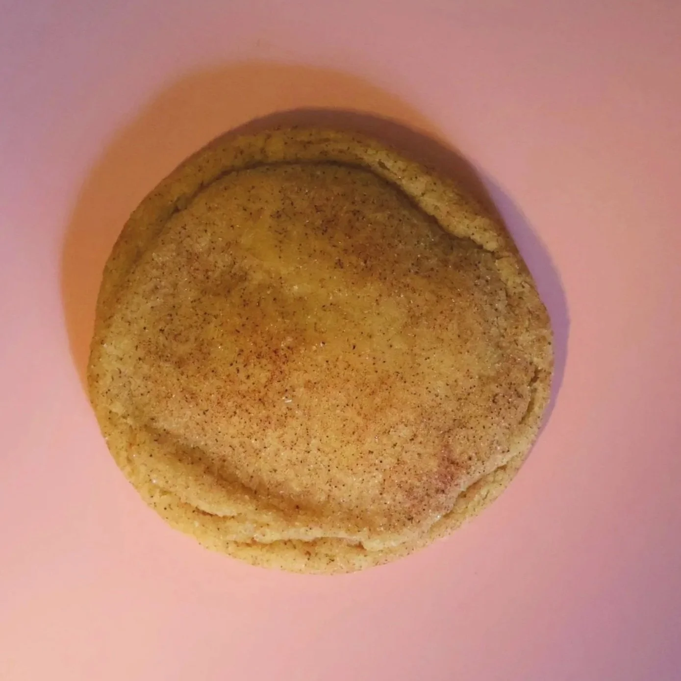 Snickerdoodle.jpg