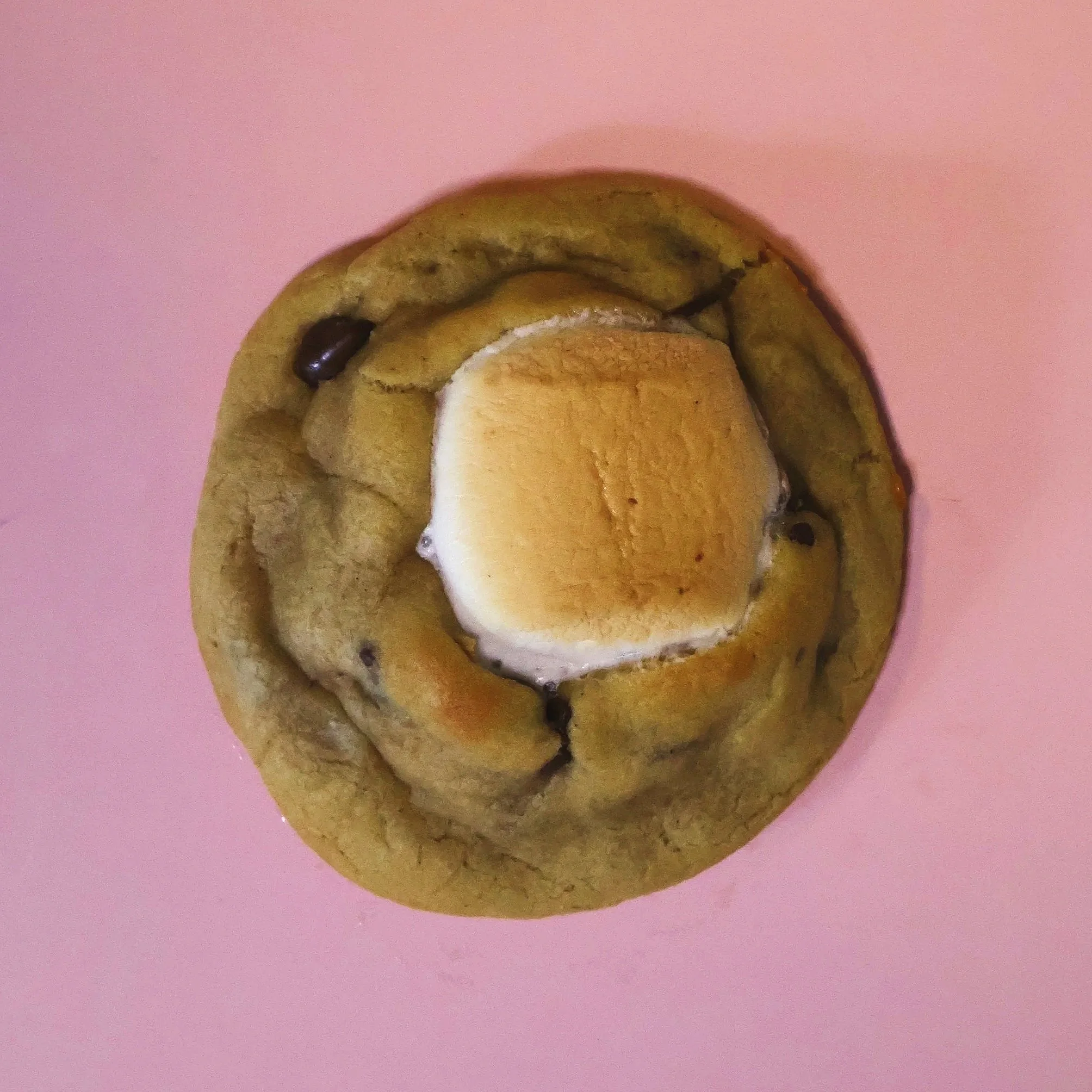 Smores.jpg