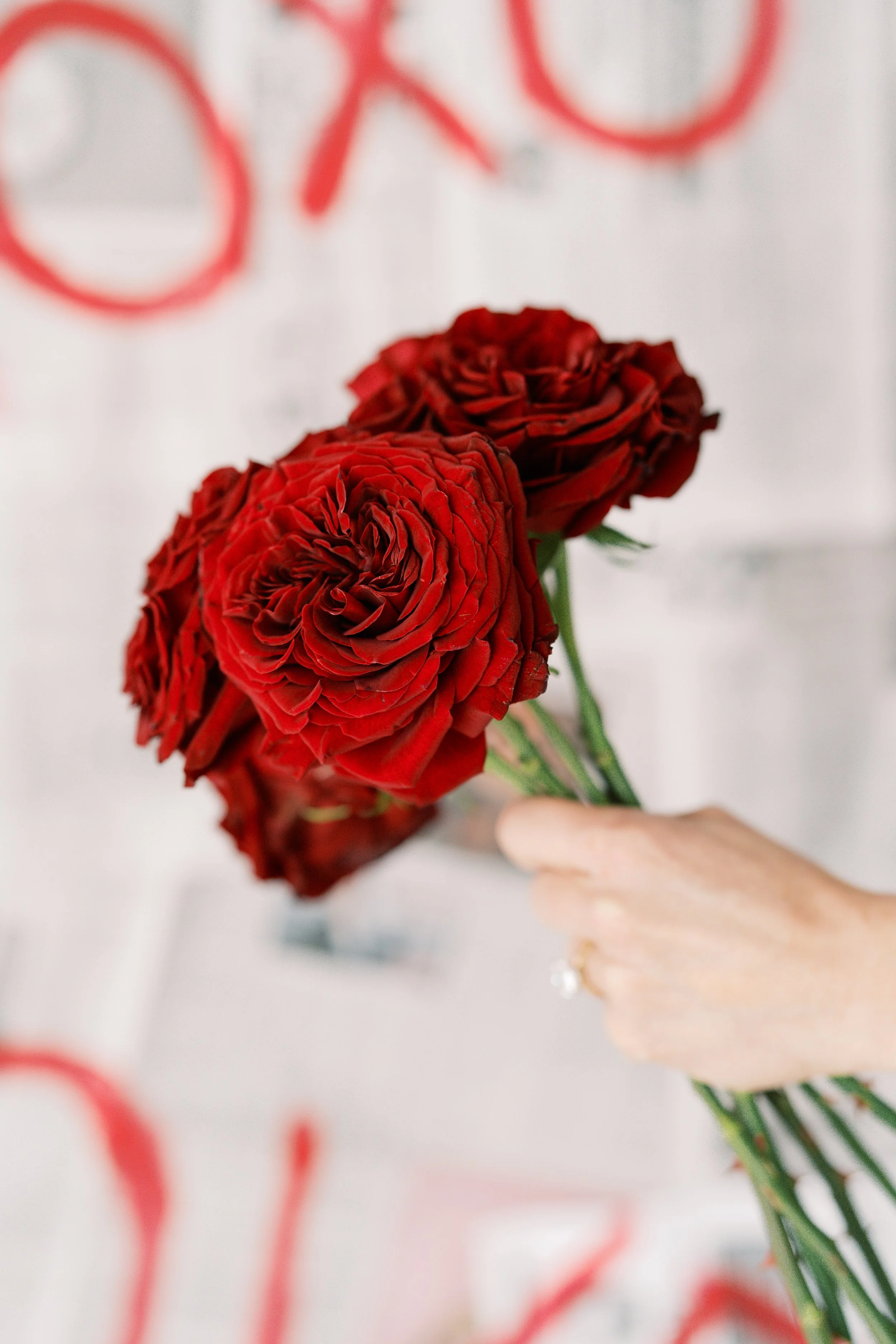 red flowers french background