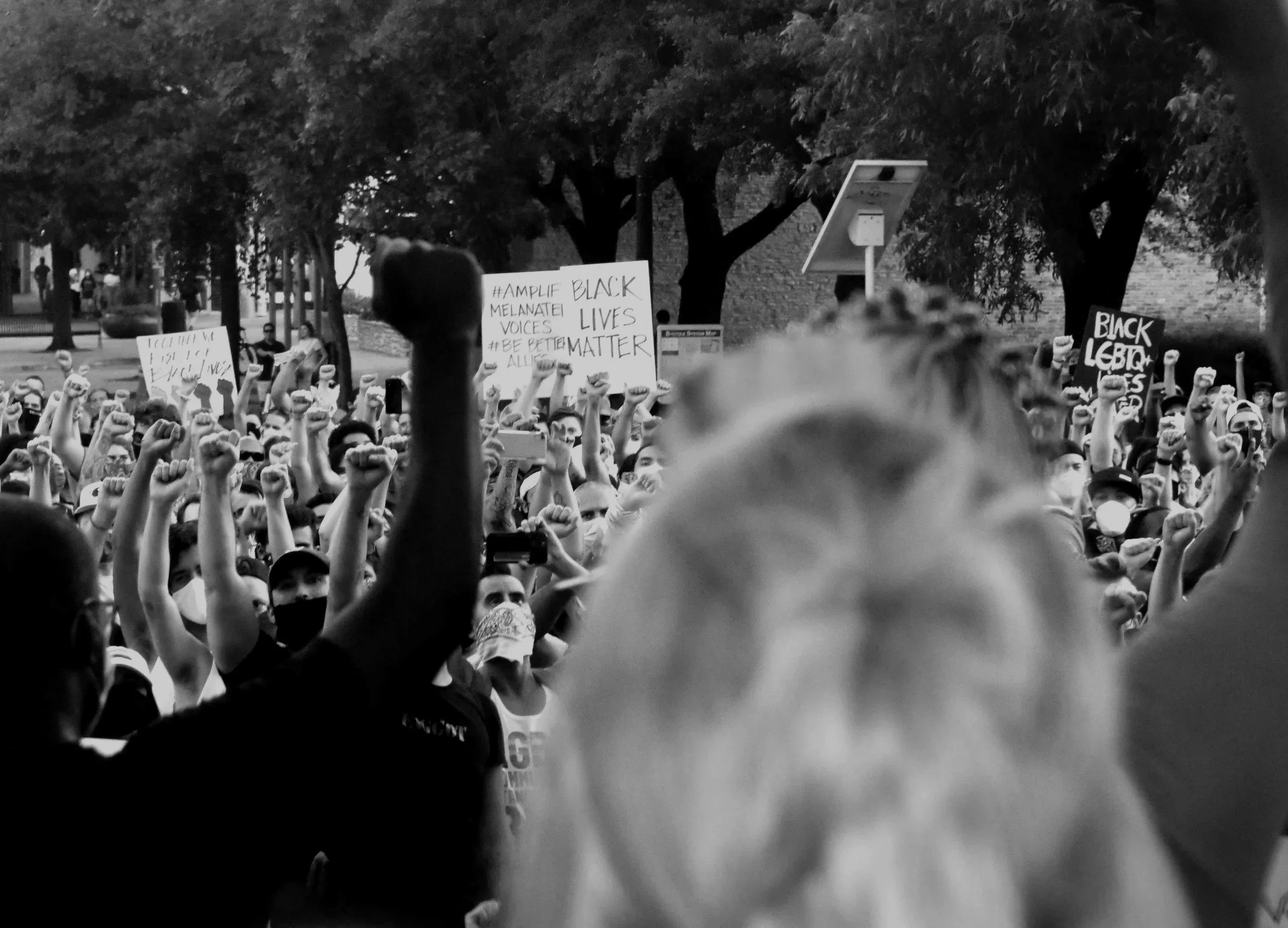 Crowd of protesters gathered outdoors, holding signs and fists raised in solidarity, with some wearing masks and hats.