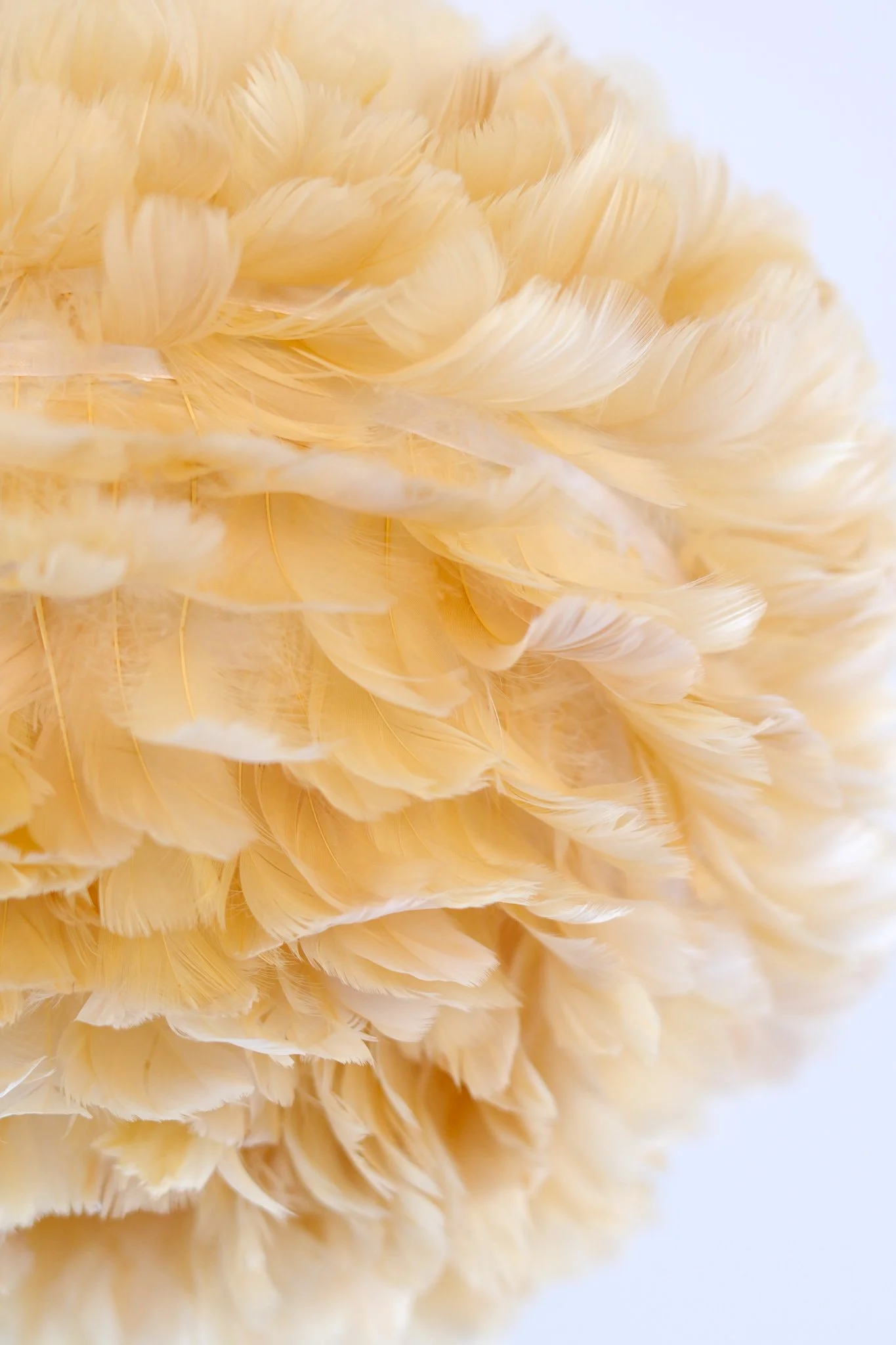Jo Hughes interiors_room 3 March 26_C Turner-9.jpg