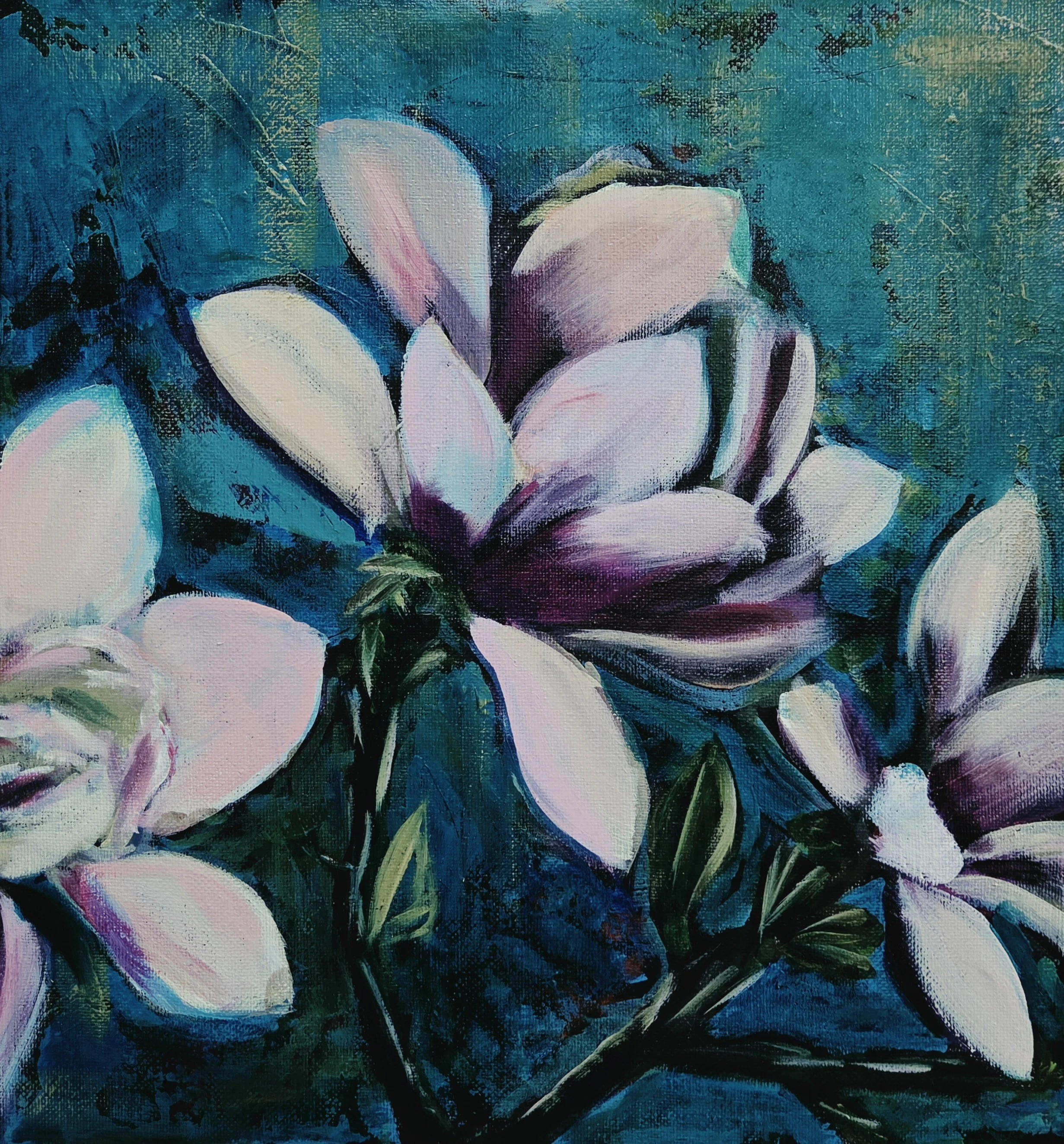 Magnolias.jpg