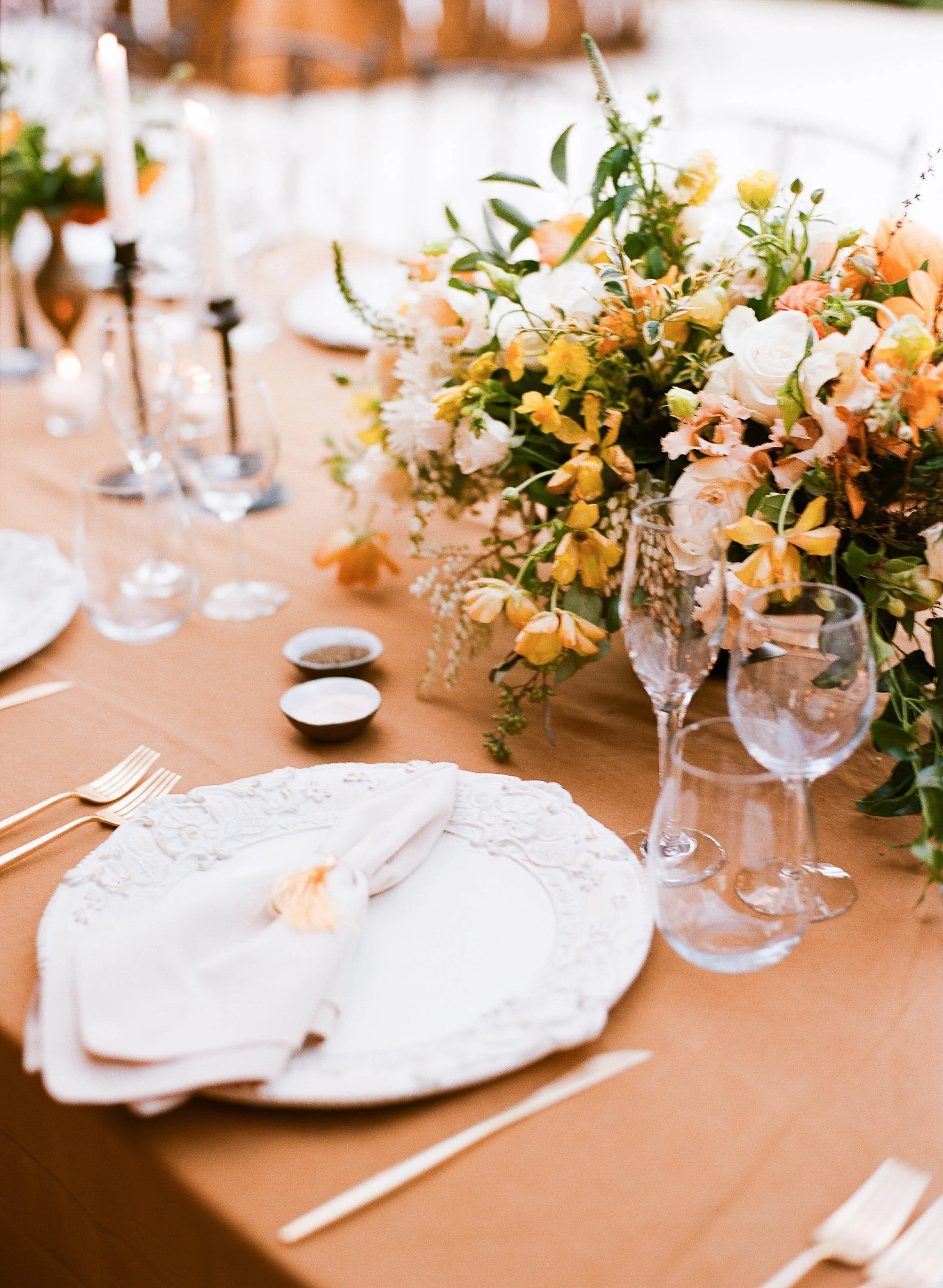 Elevae_0425_11112 (1).jpg