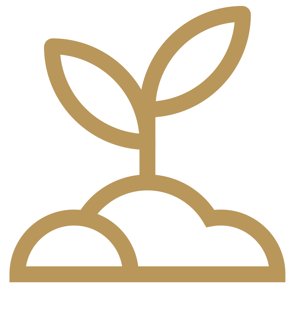 Icon of a small plant with leaves growing from the ground.