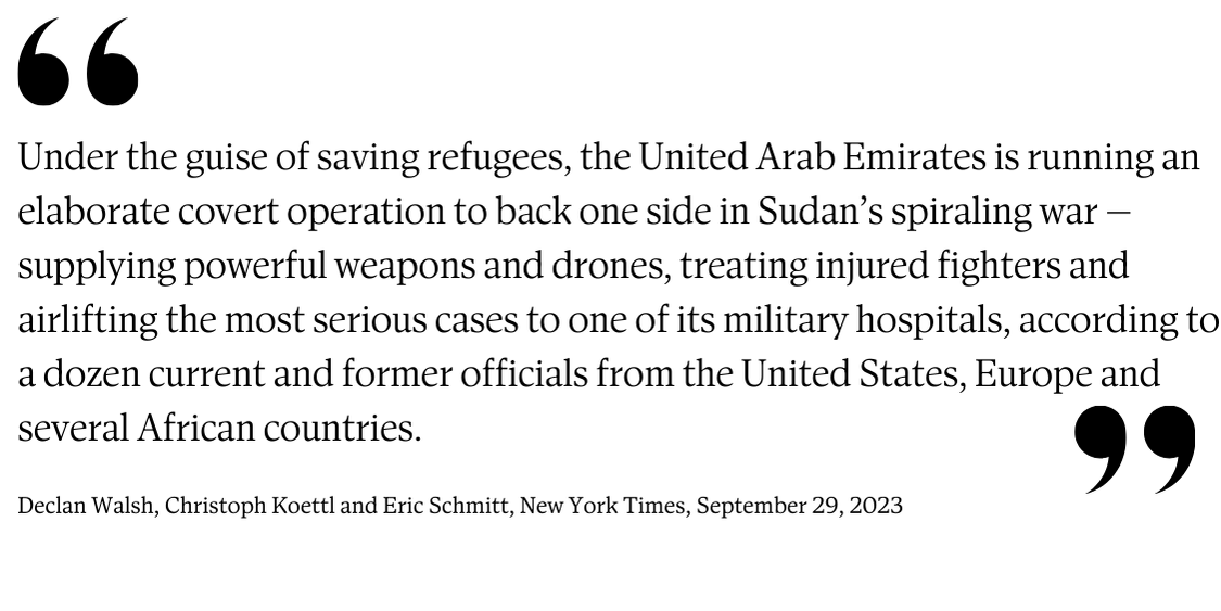 Declan Walsh Quote (1).png