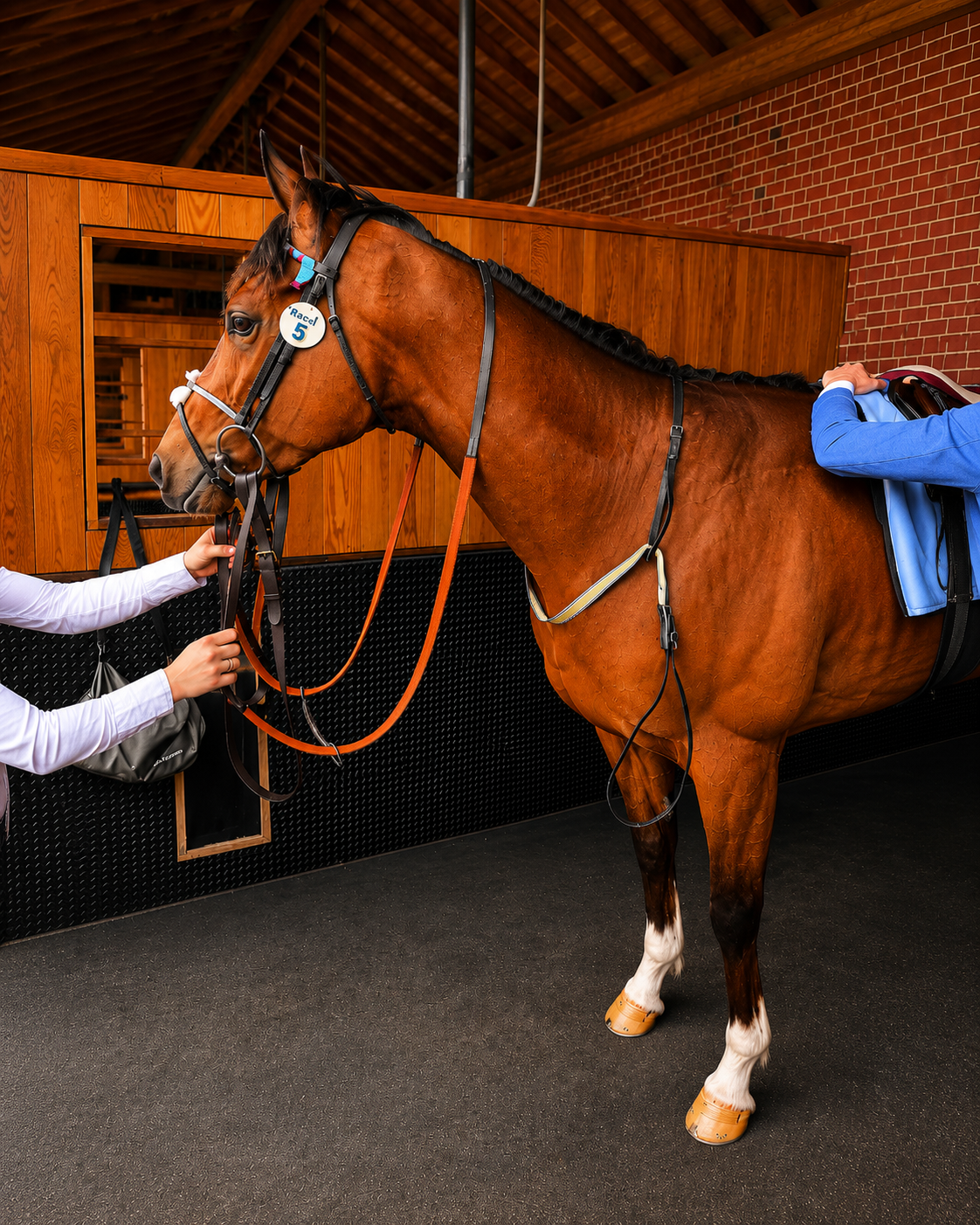 Kiniro Goes To Newbury