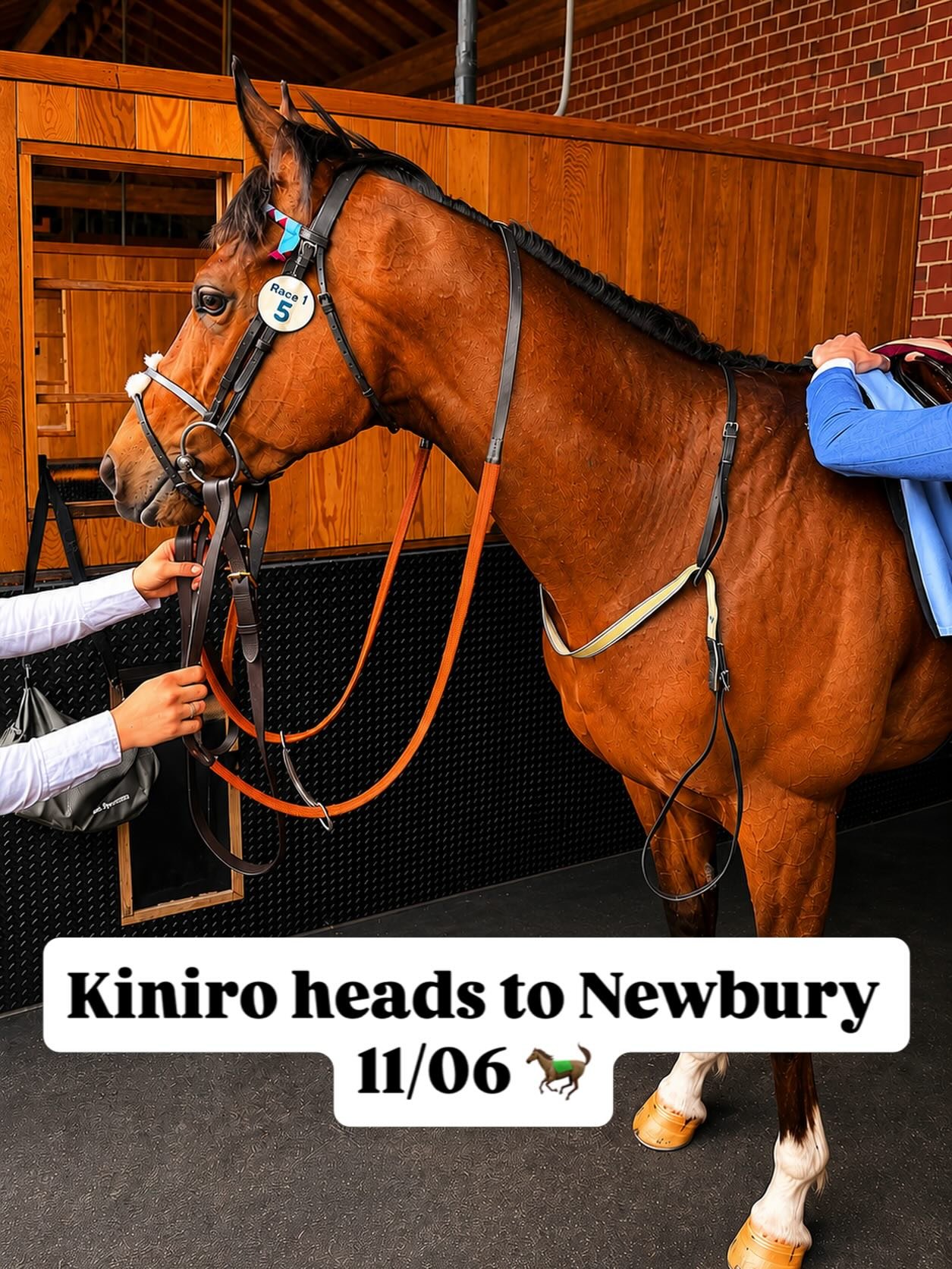 Kiniro will be back on the racecourse at Newbury on Thursday 11th June. 

We&rsquo;re delighted to have champion jockey @oisindmurphy booked to ride. 

Want to get involved? 👇

www.osmanracing.com
