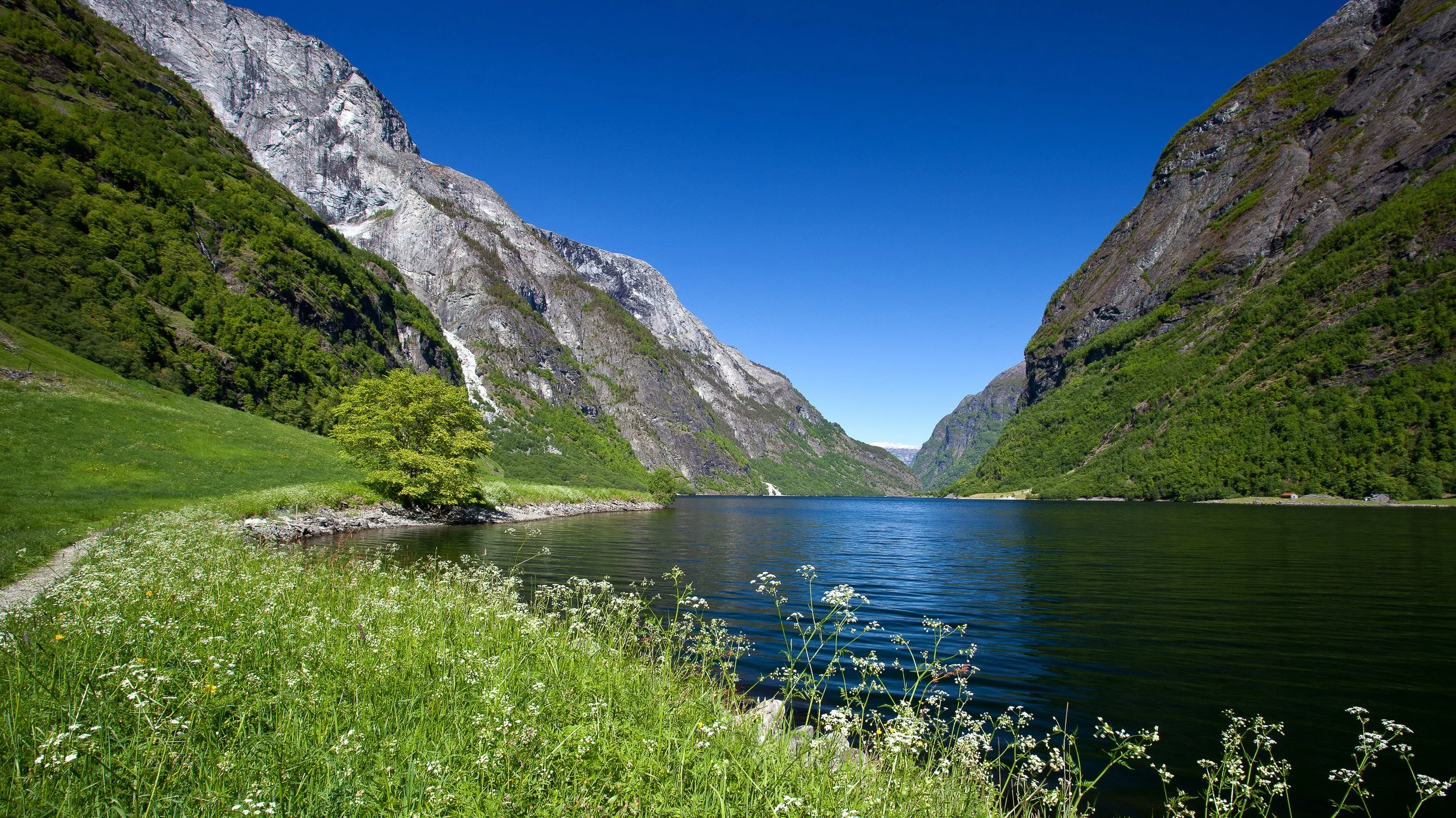 Nærøyfjorden in Western Norway, where steep green valley walls rise from the narrow fjord and calm water leads the eye through the quiet landscape.