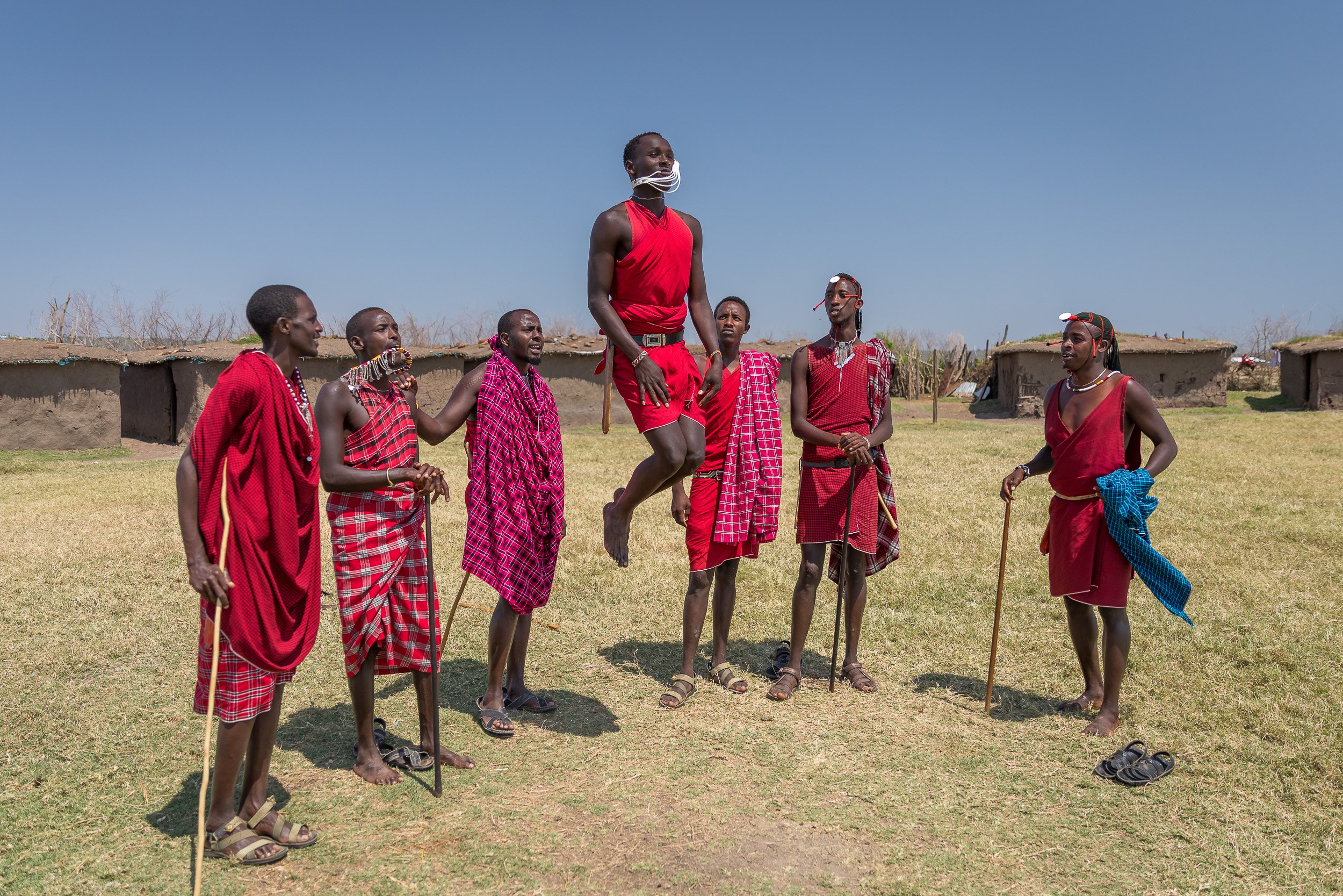 Maasai people jumping in Kenya – traditional warriors performing the adumu jumping dance in colourful shúkà robes.