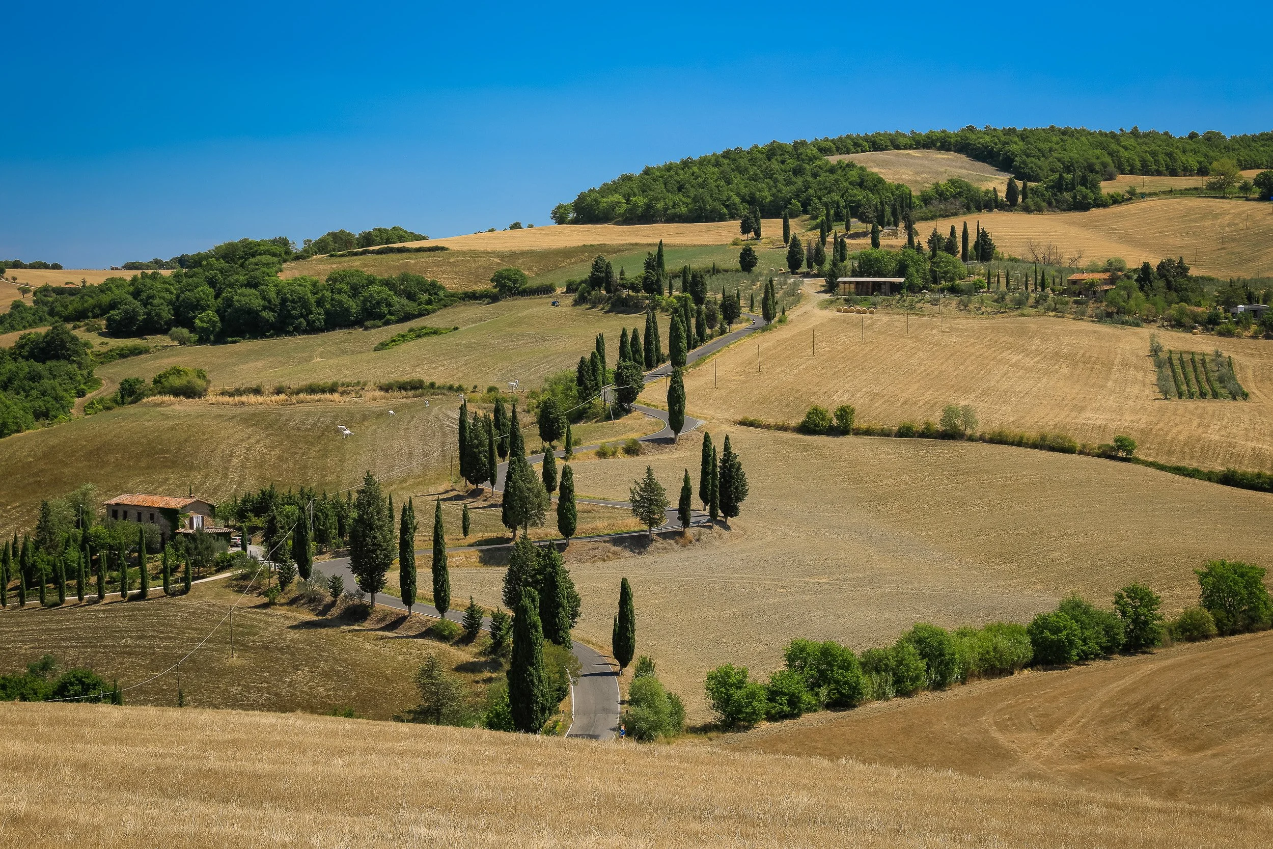 Rolling fields and a winding road lined with cypresses, stretching through the sunlit hills of Tuscany.