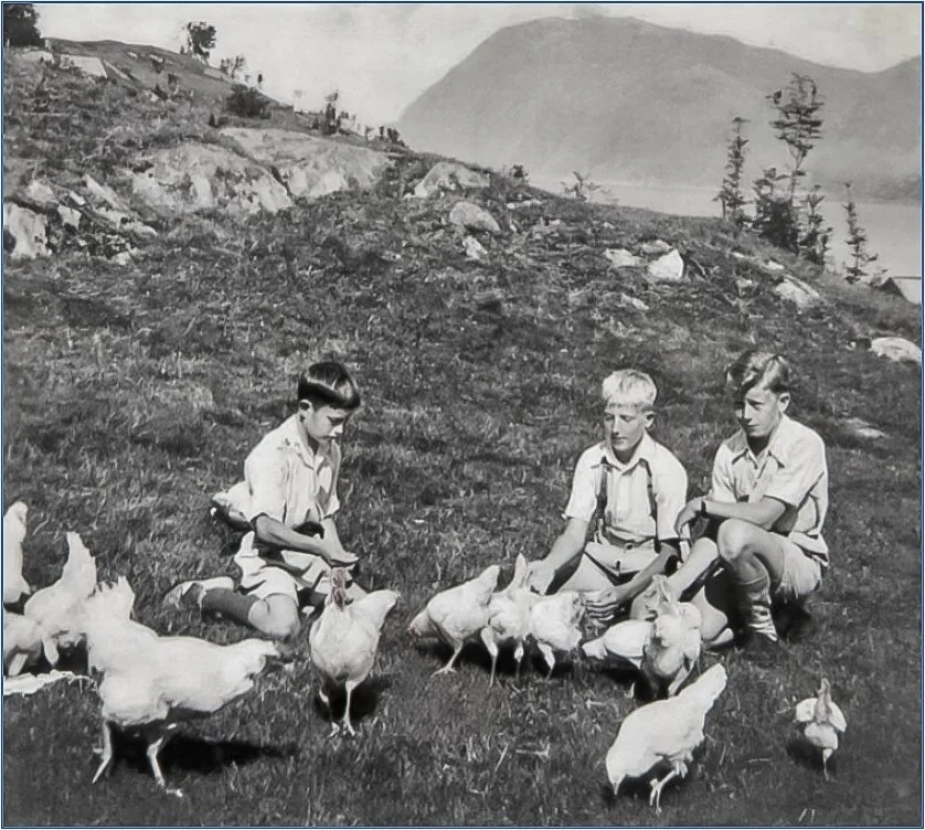 Historisk svart-hvitt-fotografi av Arne Husevåg sammen med Roald og Egil, sittende på en gressbakke omgitt av høns i Husevåg, trolig i de første etterkrigsårene.