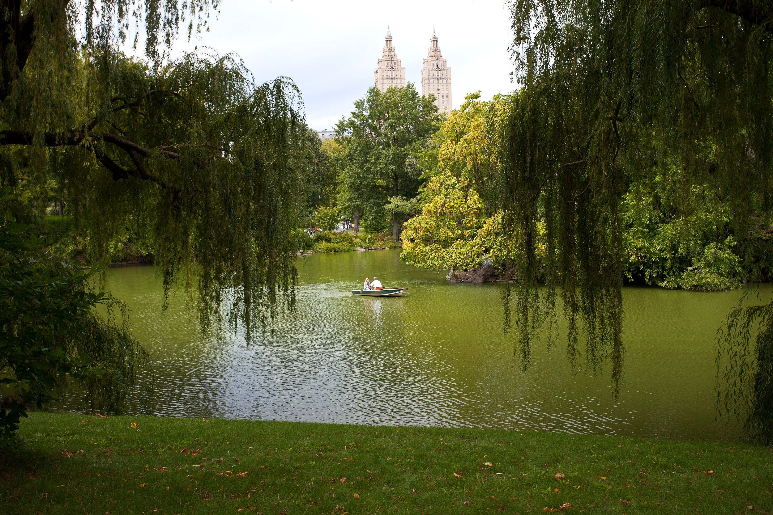 Rowboats drifting across Central Park Lake beneath willow branches and distant Upper West Side towers.