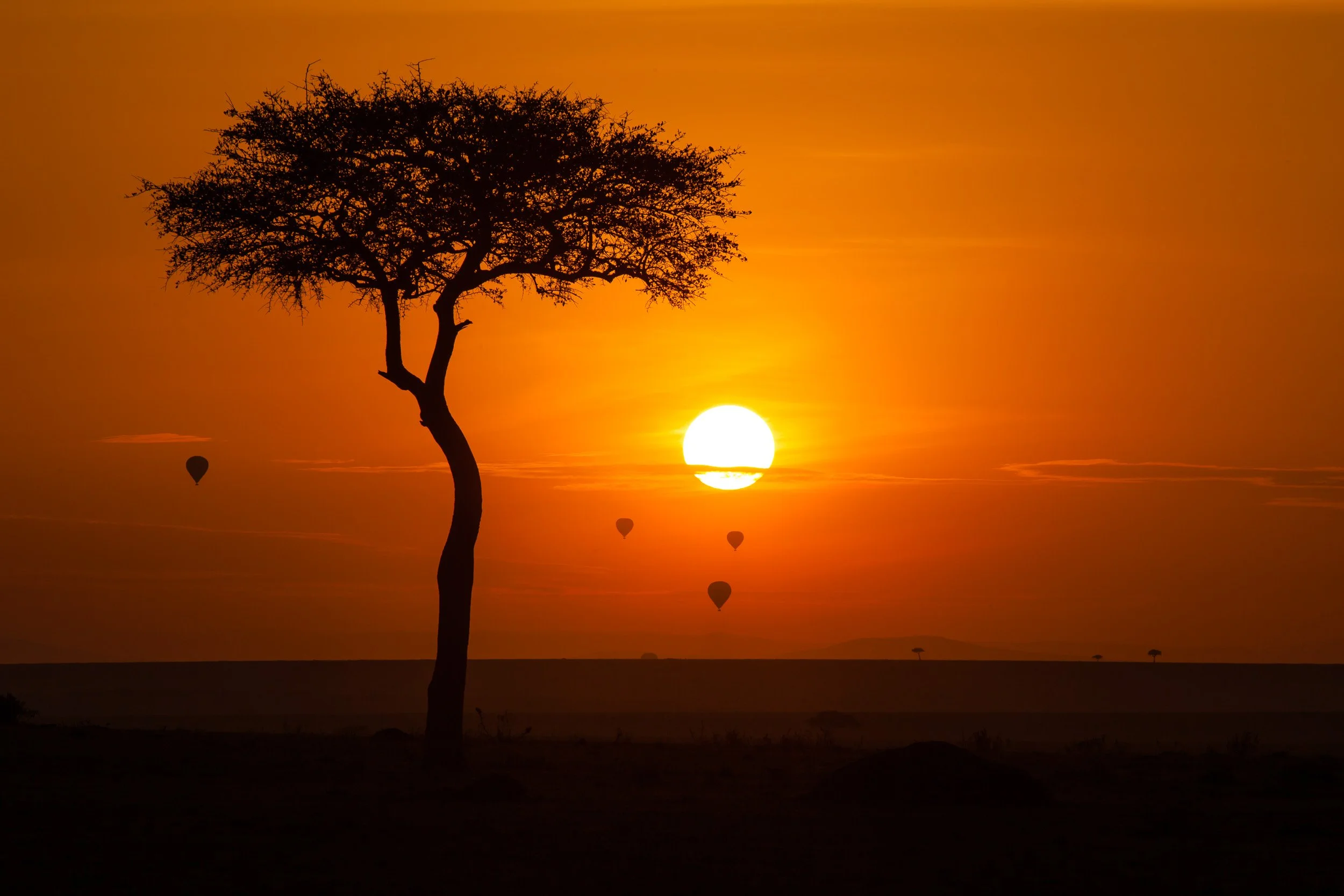 Hot air balloons over Maasai Mara National Reserve, Kenya – several balloons drifting above the savanna at dawn.