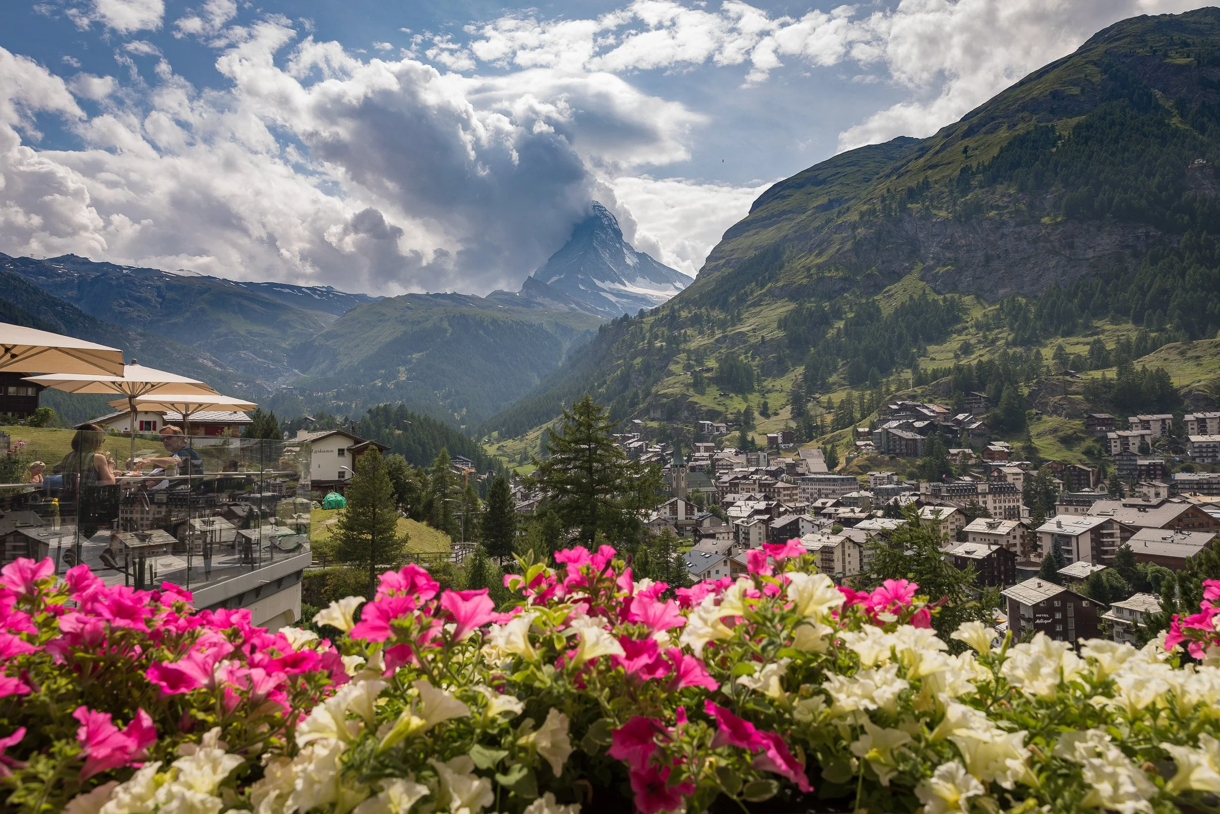 View over a flower-decked terrace in Zermatt, pink and white blooms framing the Matterhorn rising at the head of the valley.