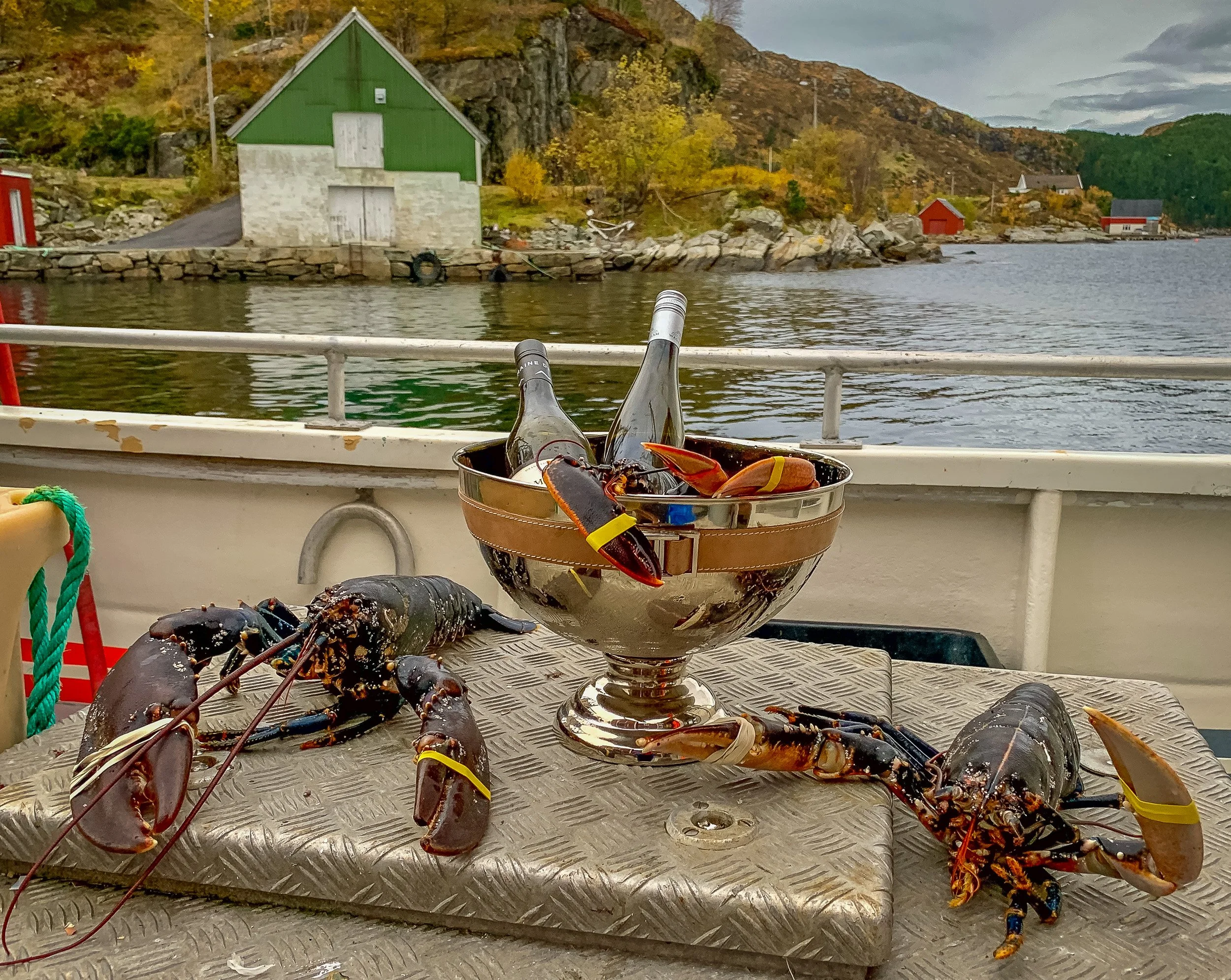 Rikelige muligheter for å fiske både krabbe og hummer
