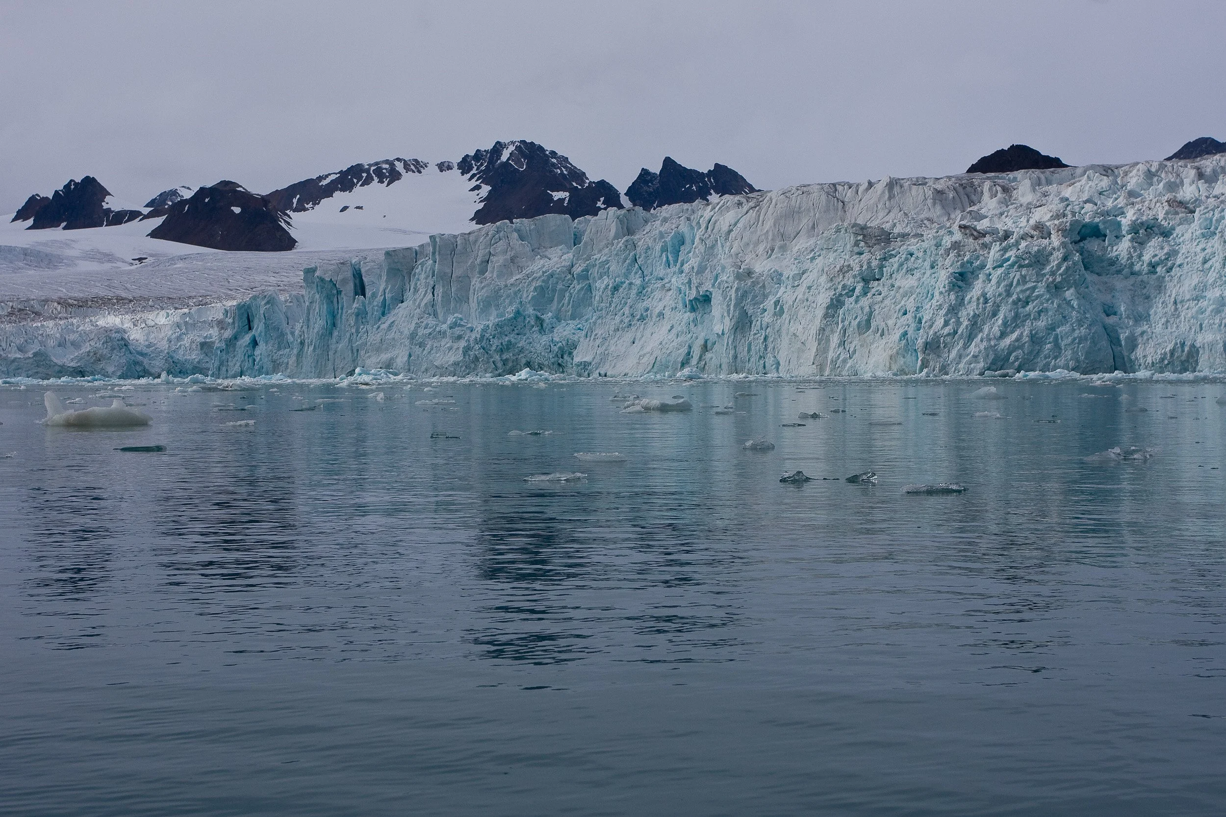The vast front of Lilliehöökbreen stretches across still water, its pale blue ice meeting dark peaks under a heavy sky.