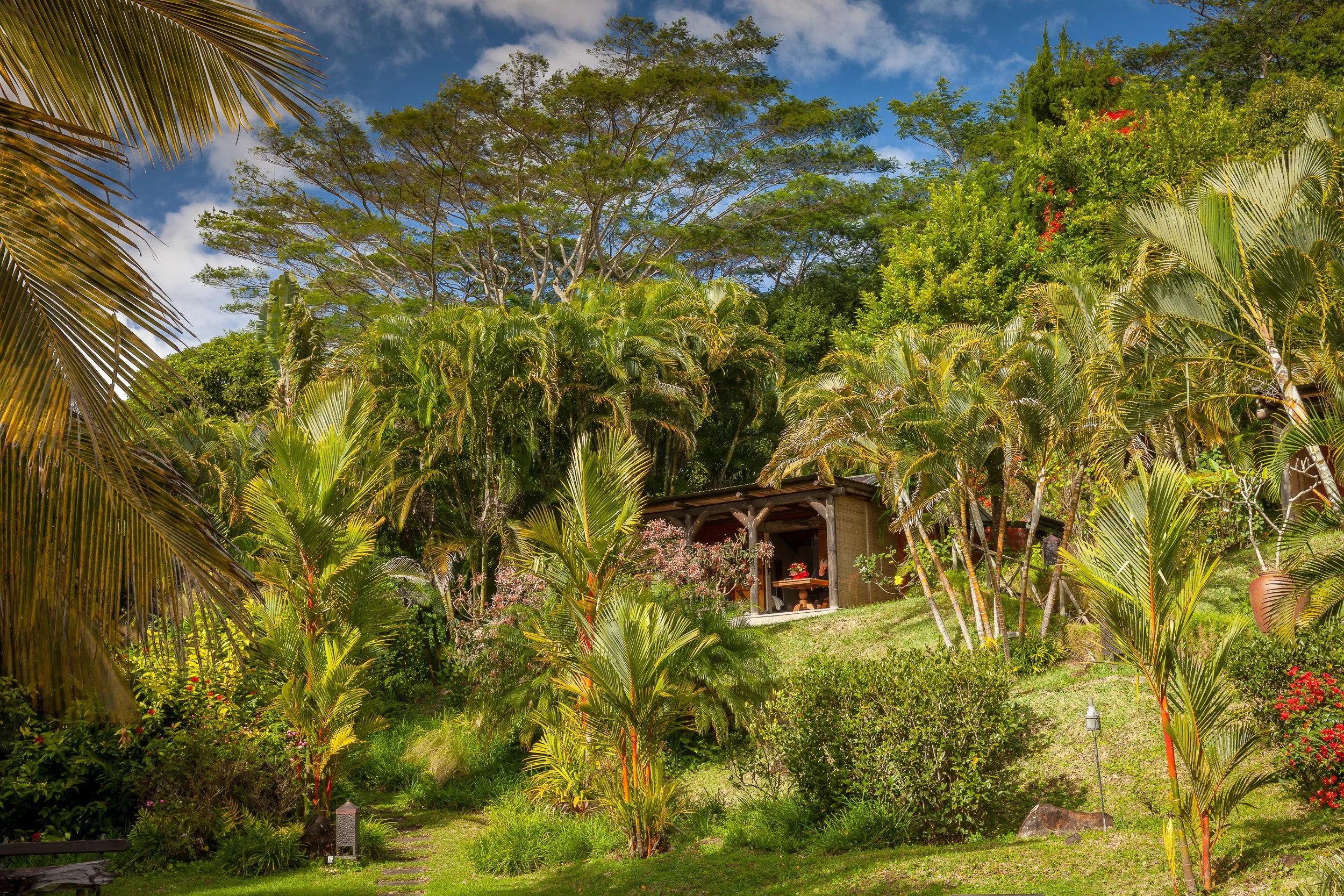 Hillside bungalow tucked into dense tropical gardens at Lakaz Chamarel, with layers of palms and trees under a bright Mauritian sky.